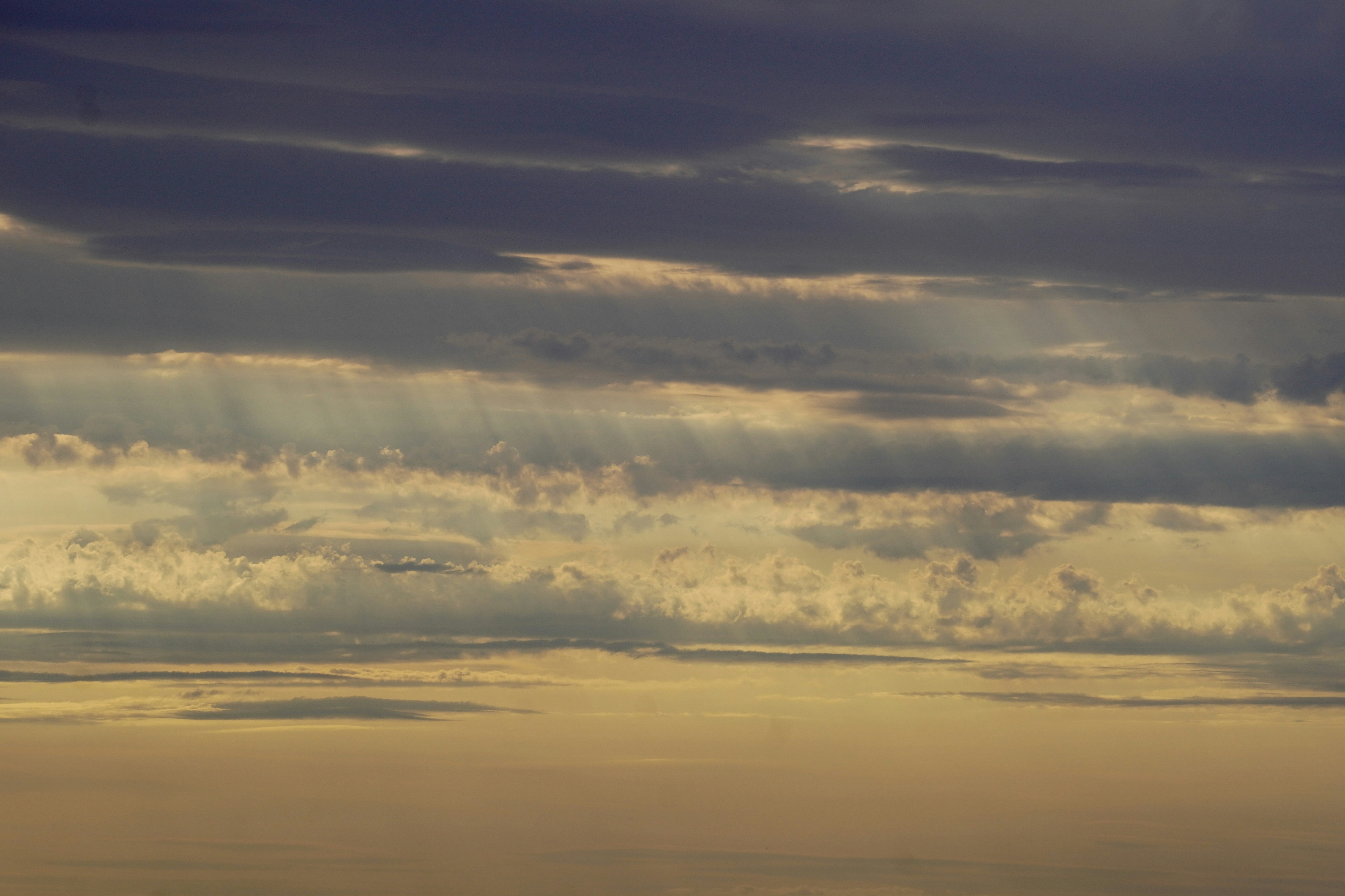 Photo by peterburdon