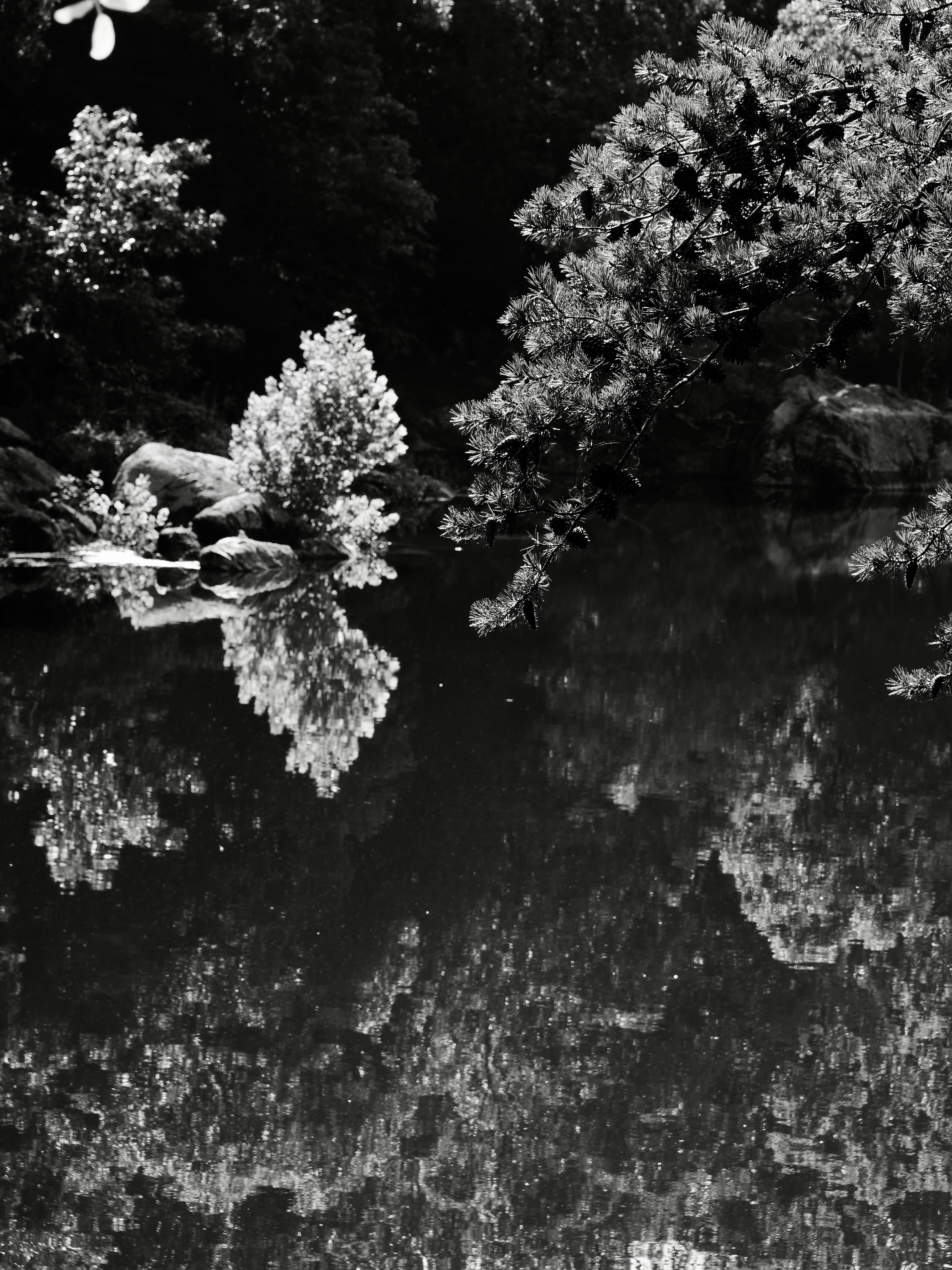 Photo by sschusterphotoart