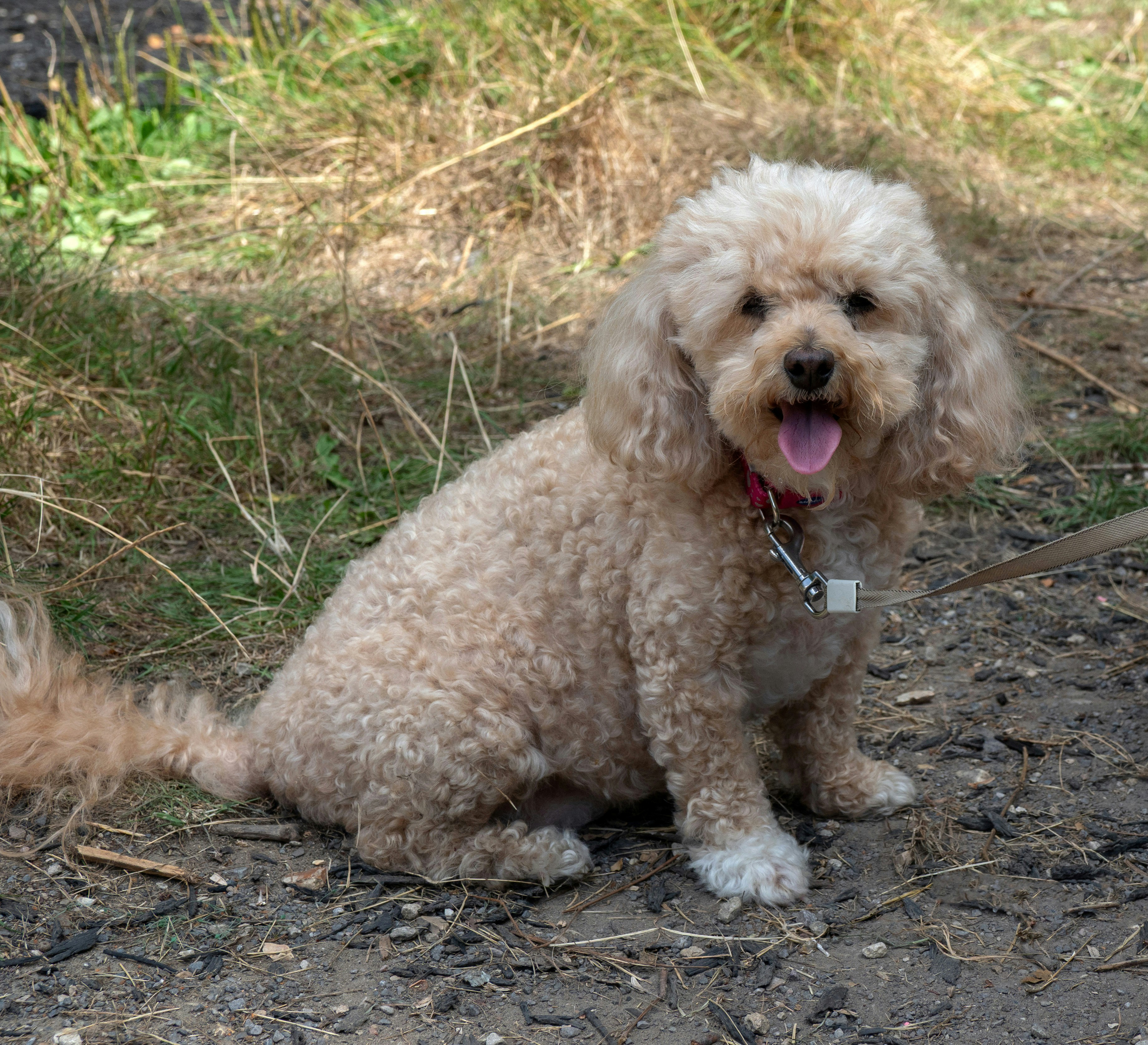 Photo by brett_jordan