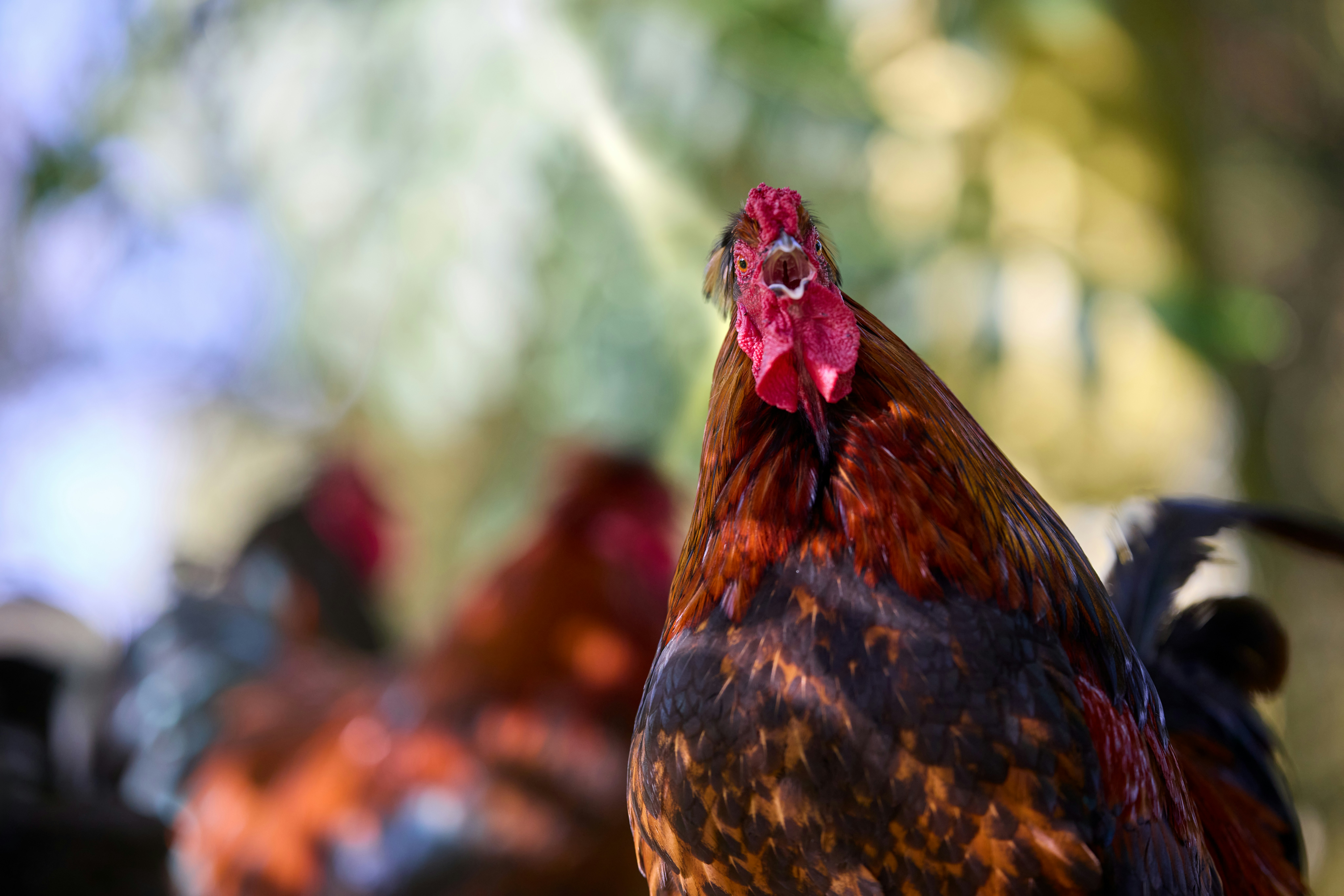 Photo by erwinbosman