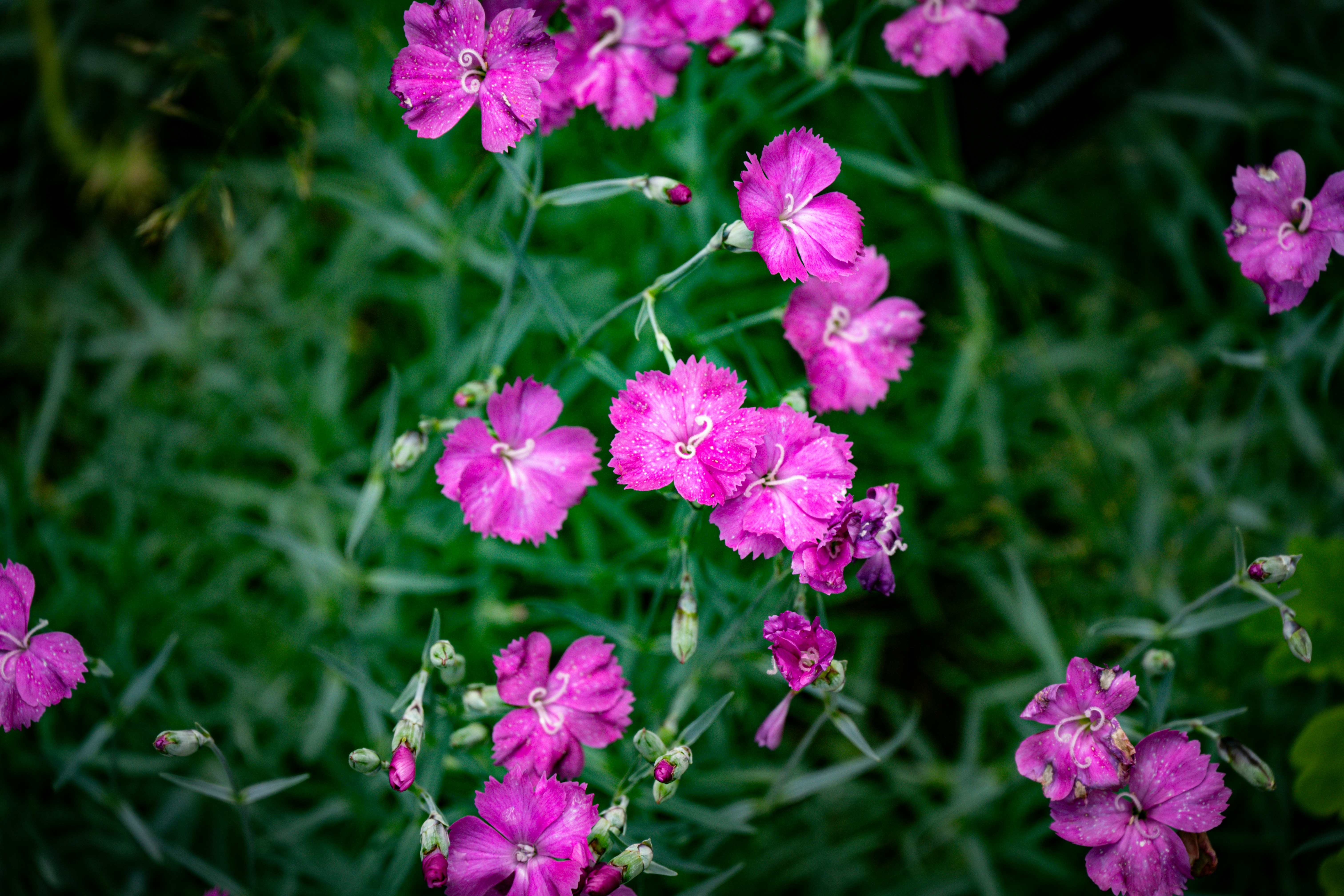 Photo by justmejuliee