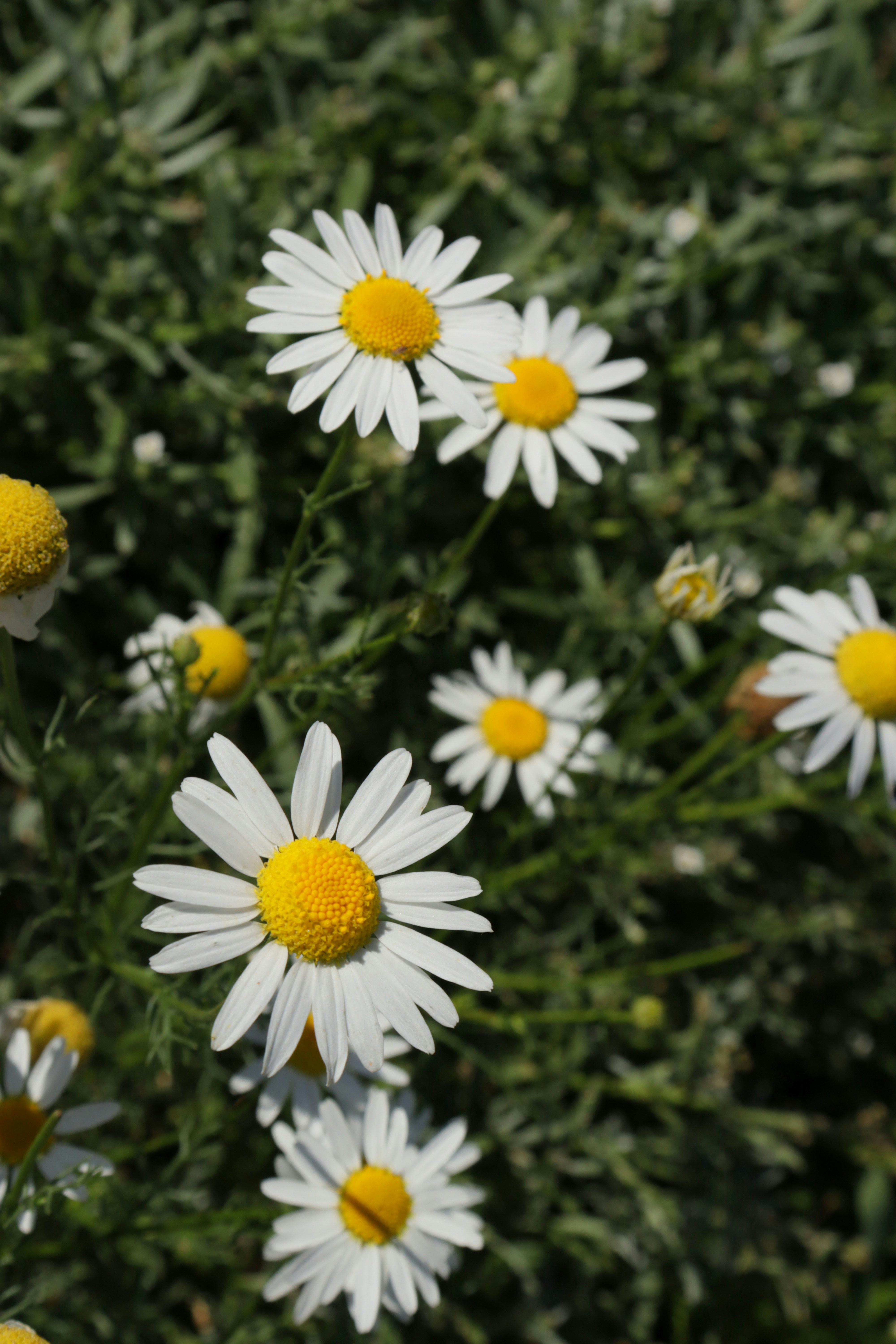 Photo by bored_mongoose