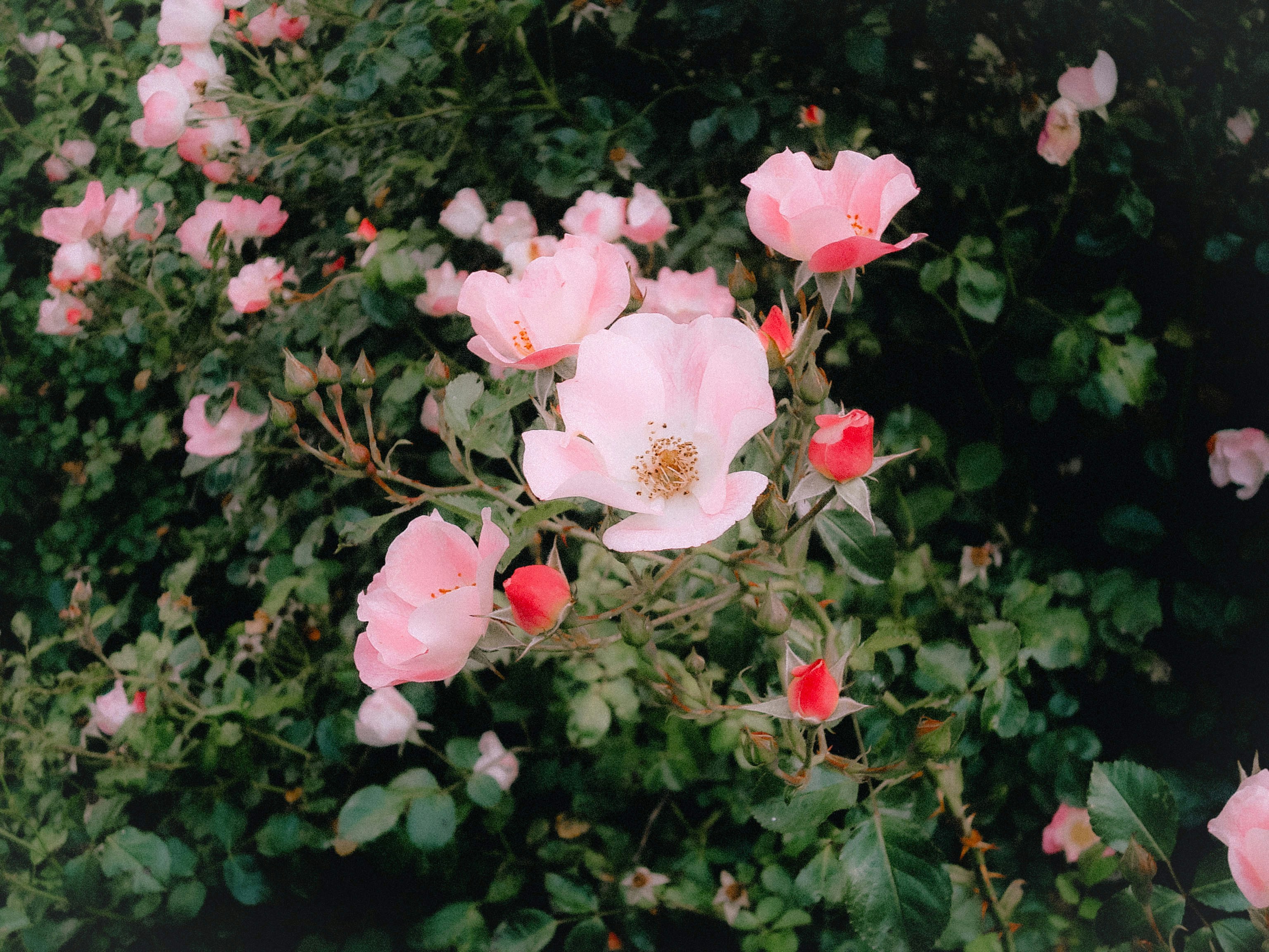 Photo by freddieaddery