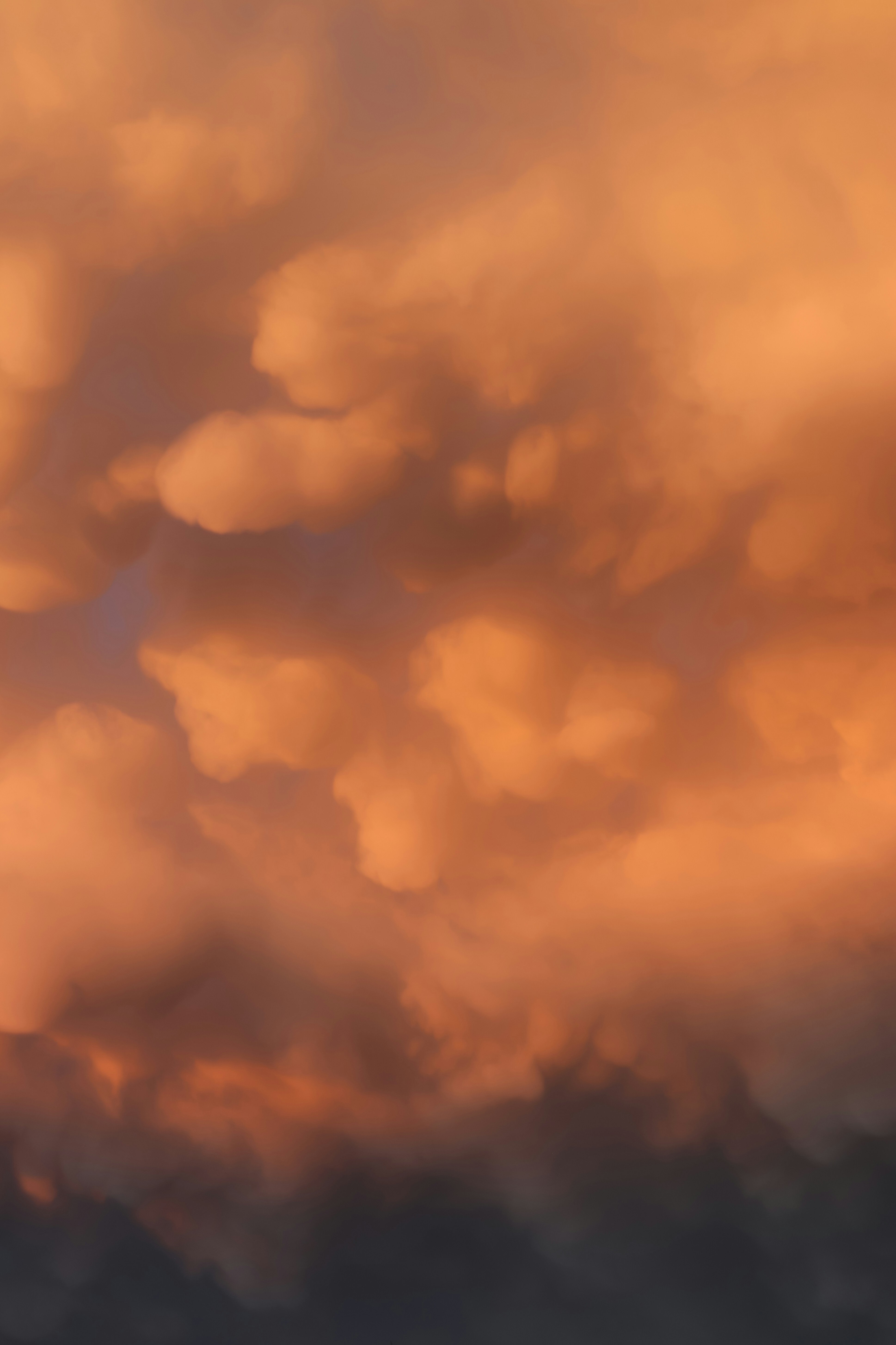 Mammatus clouds illuminated by sunset light