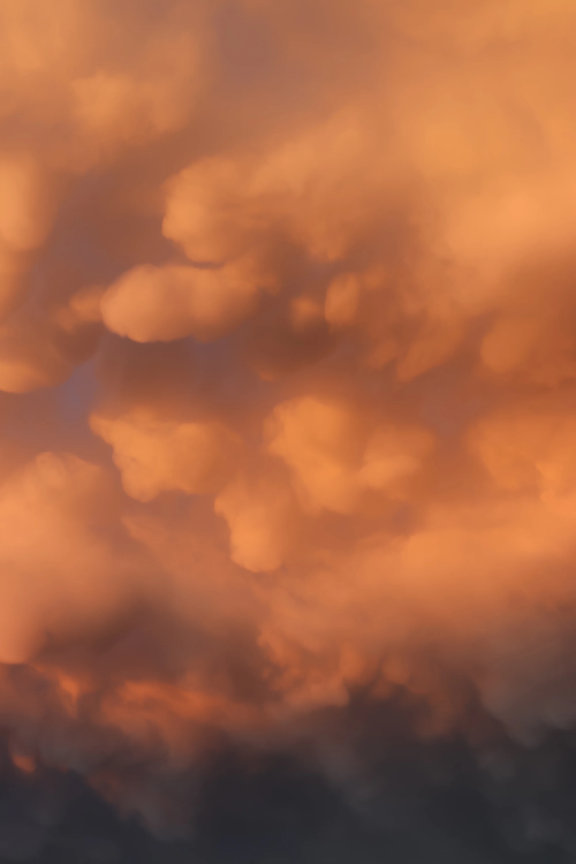 Mammatus clouds lit by sunset over Airdrie, Alberta