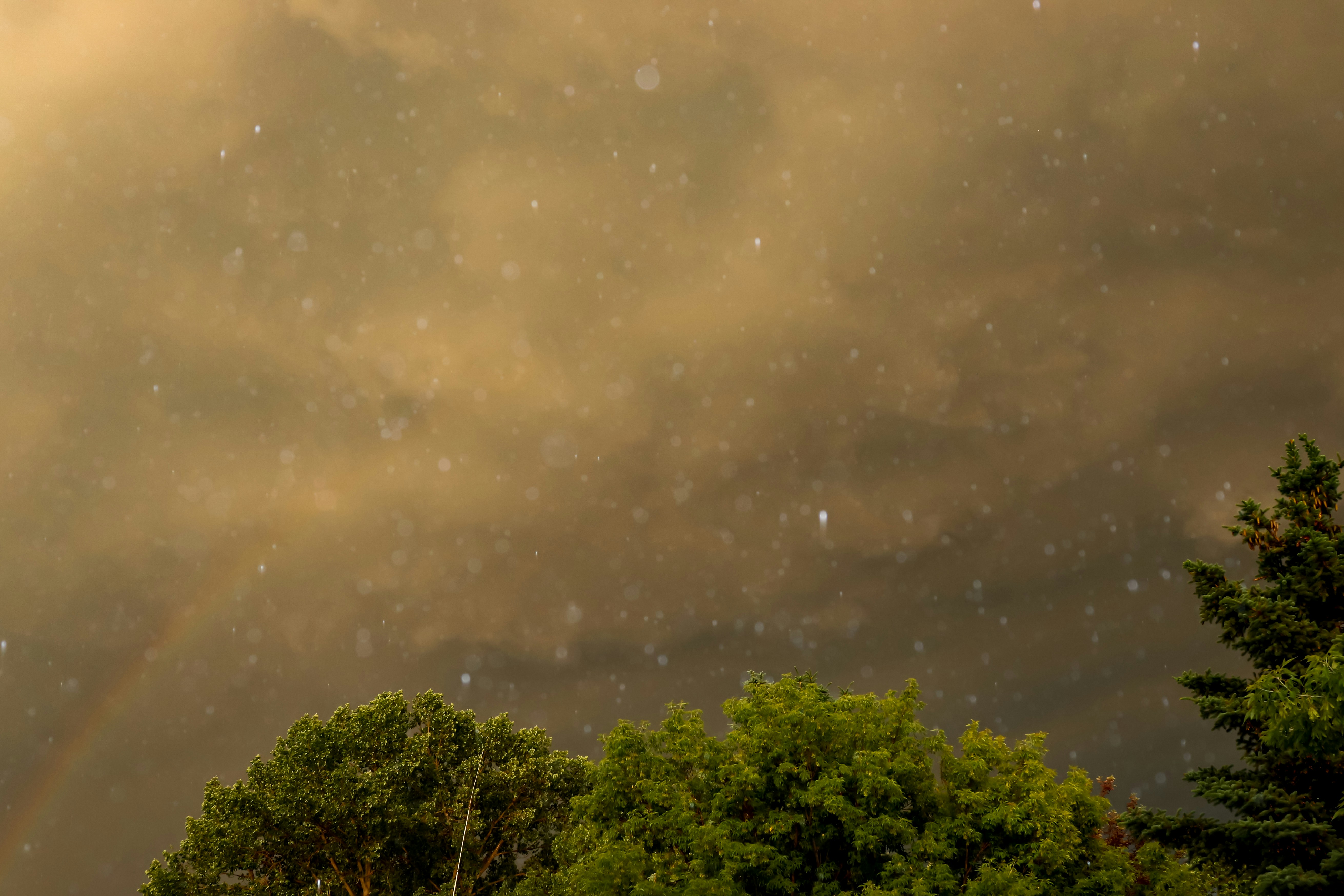Stormy sky with rainbow and green trees
