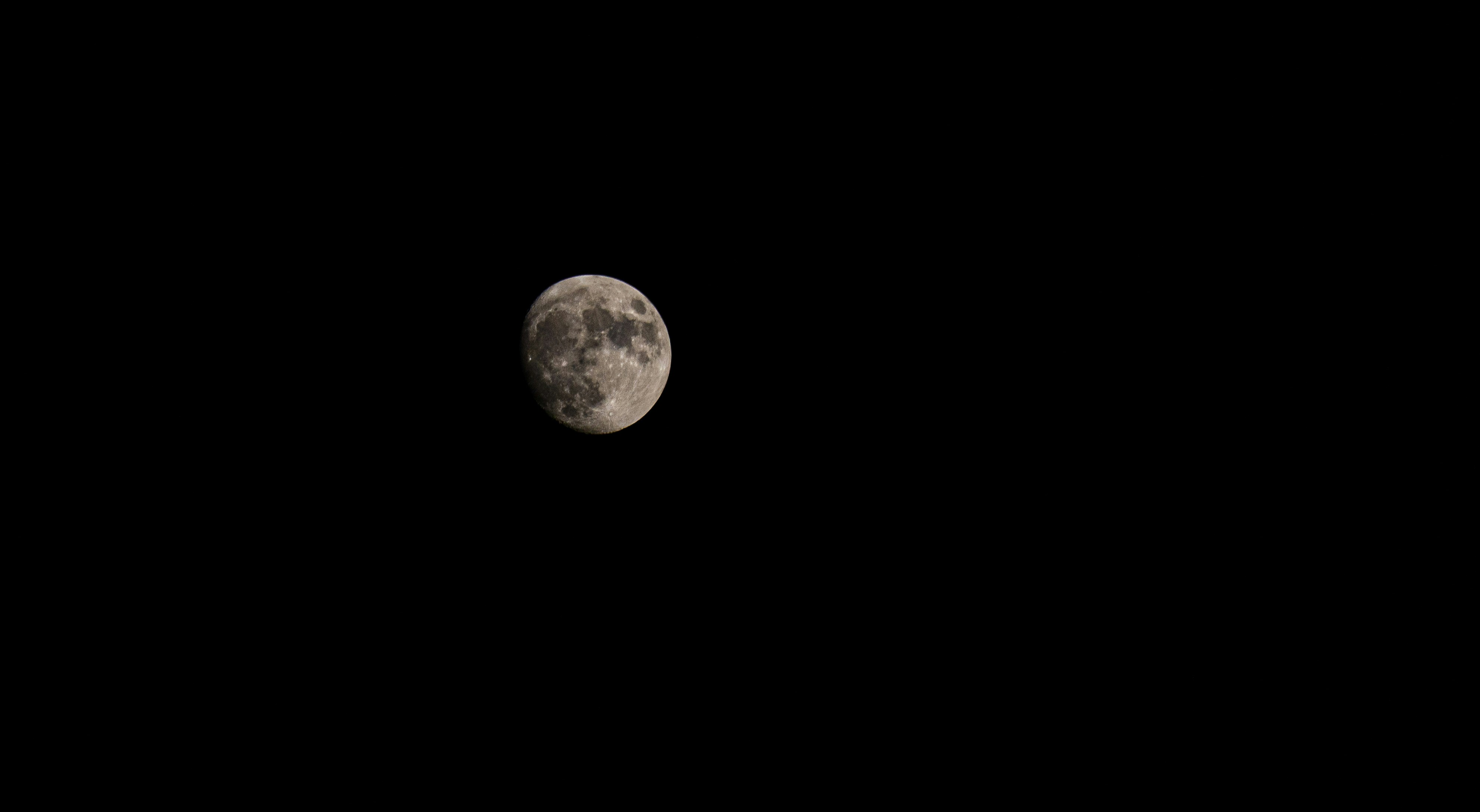 Photo by radomir456