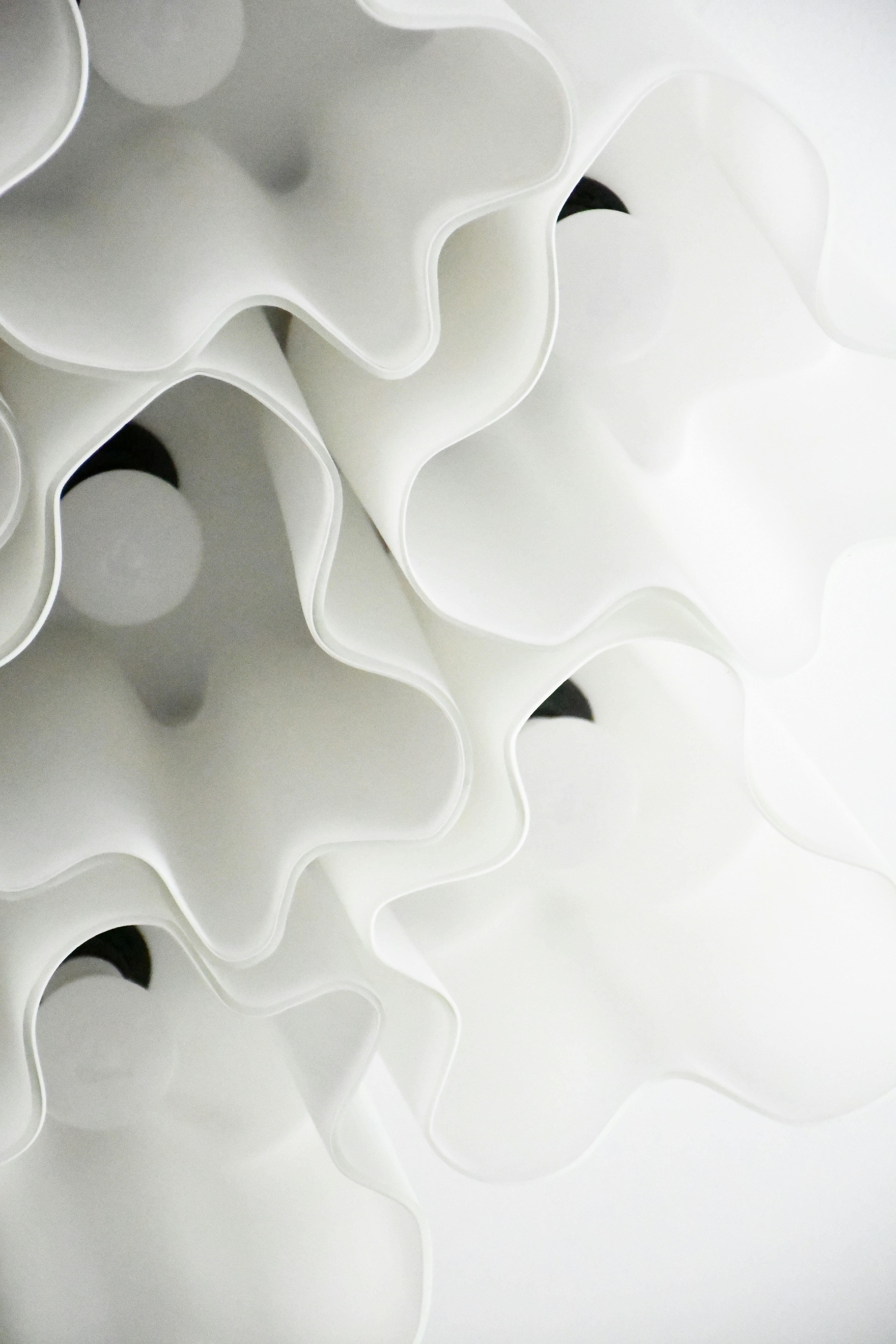 Photo by anna_kharkivska