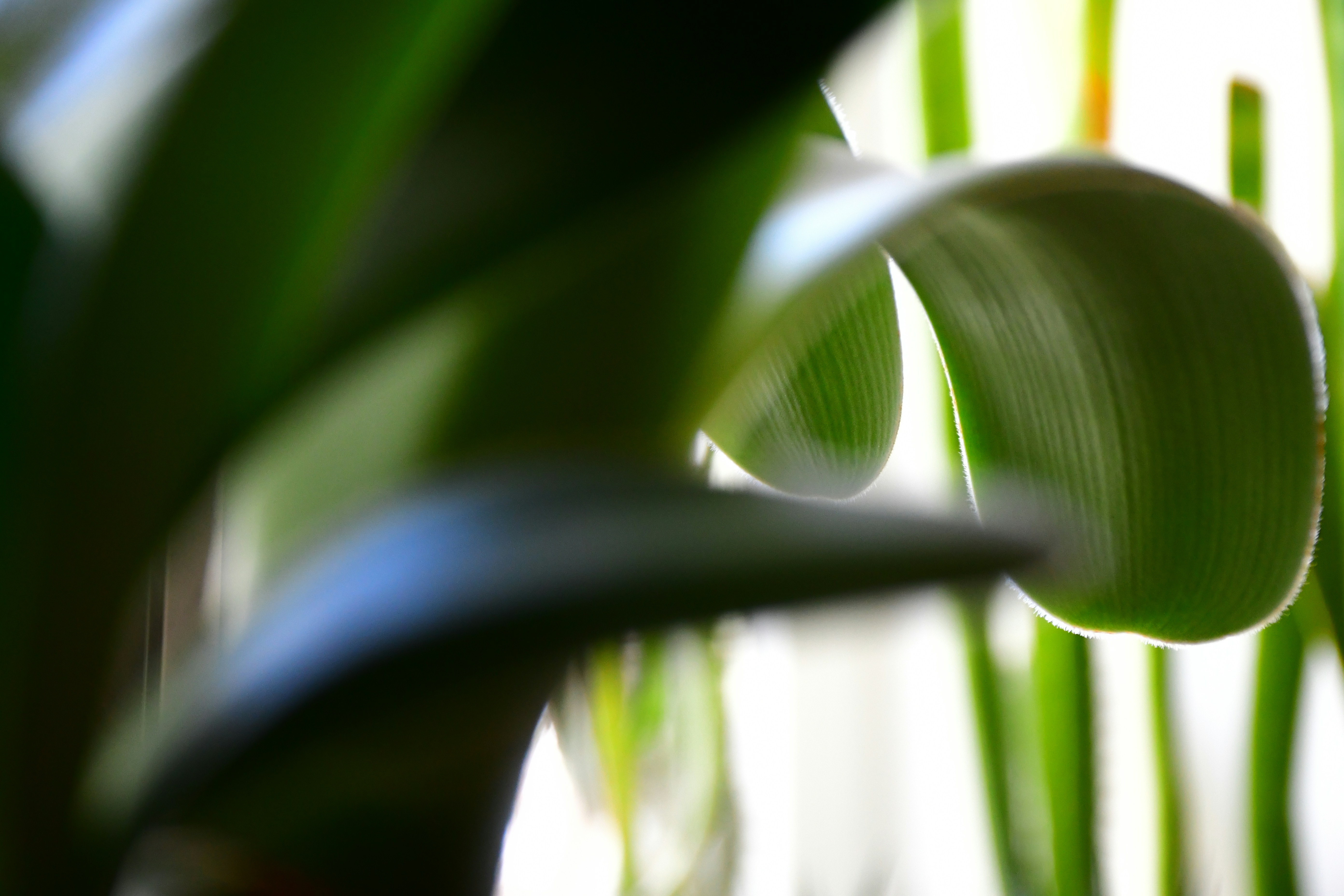 Photo by anna_kharkivska