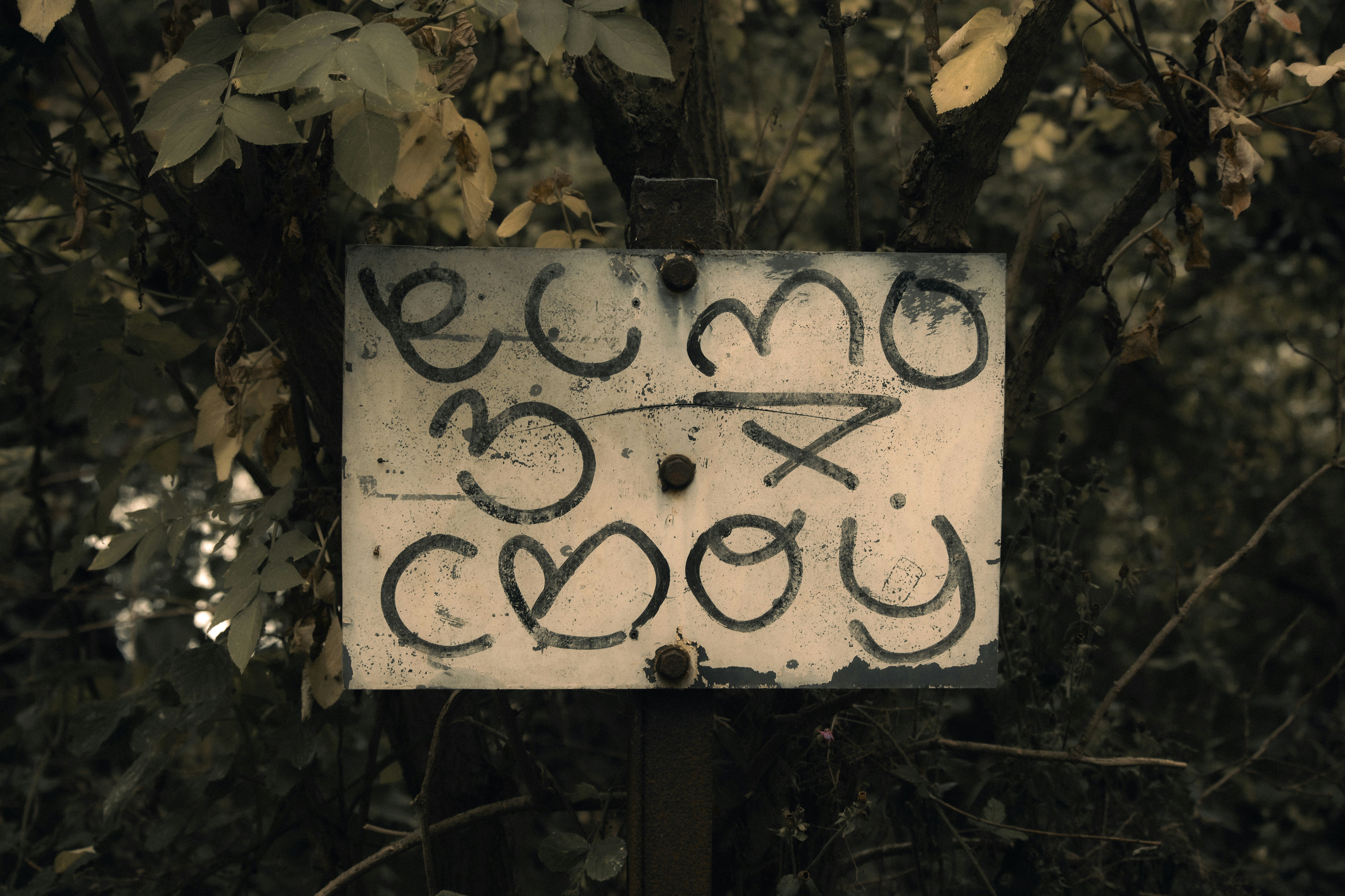 Weathered sign with handwritten symbols in forest