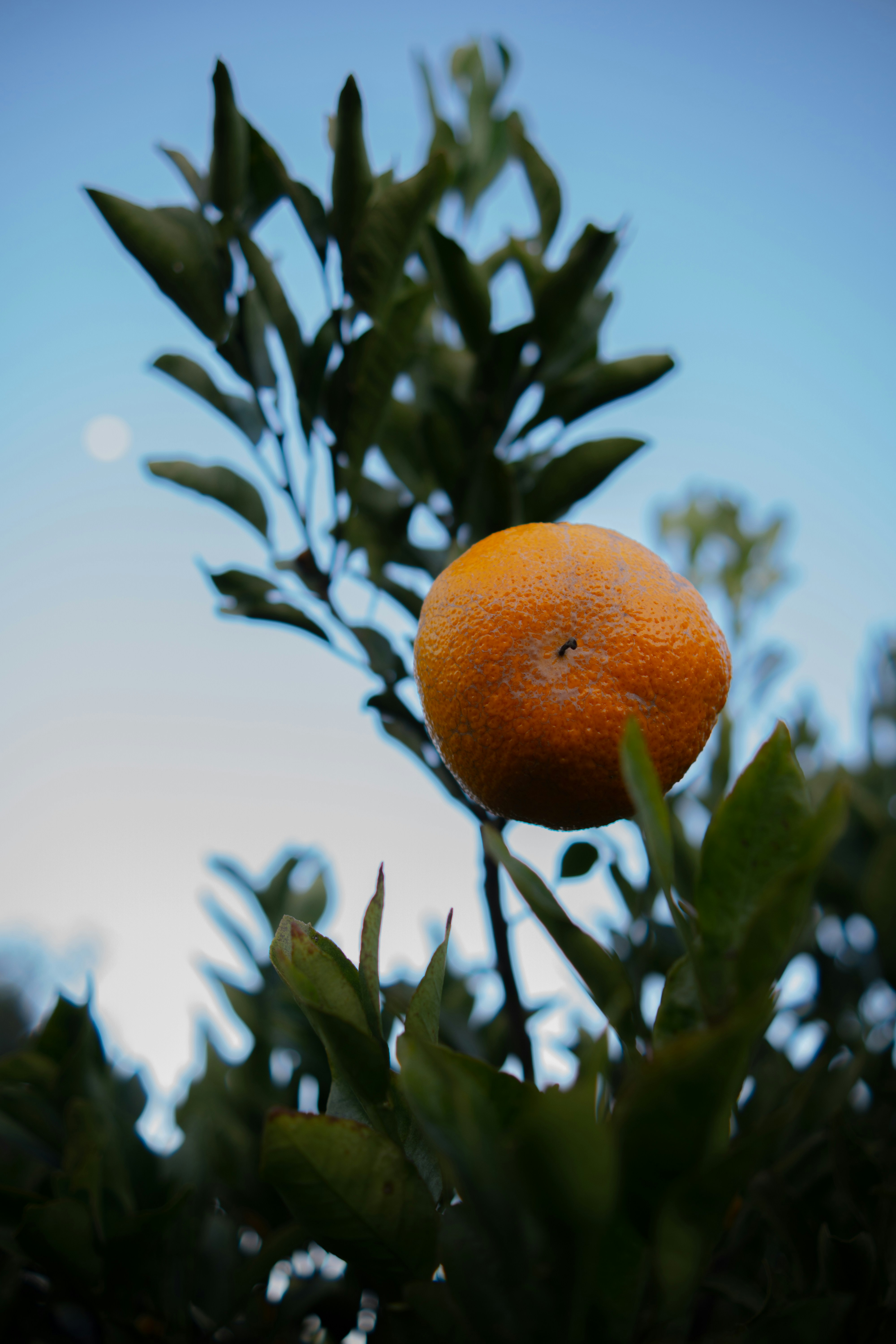 Photo by andreicastanha