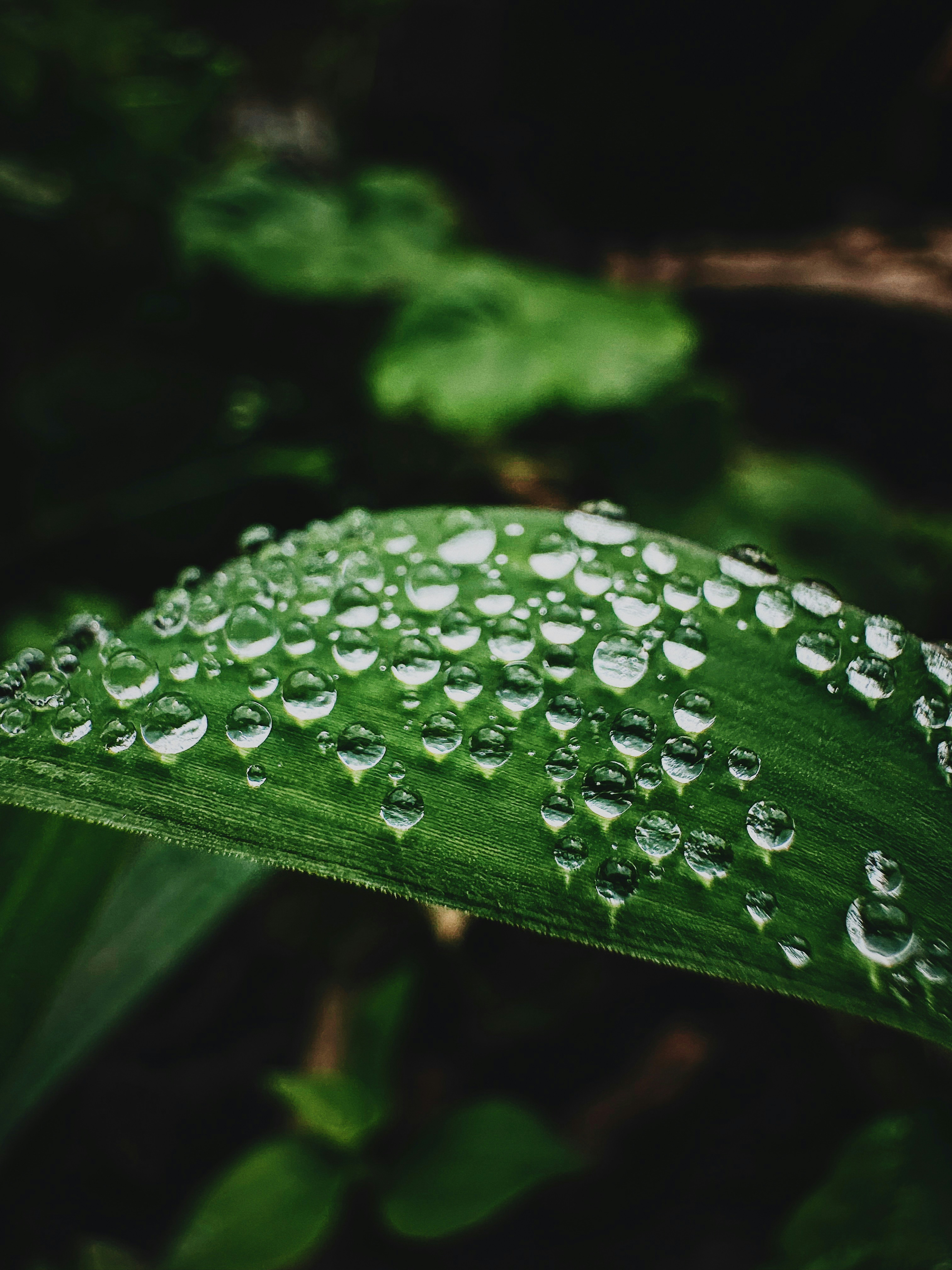 Photo by andreicastanha