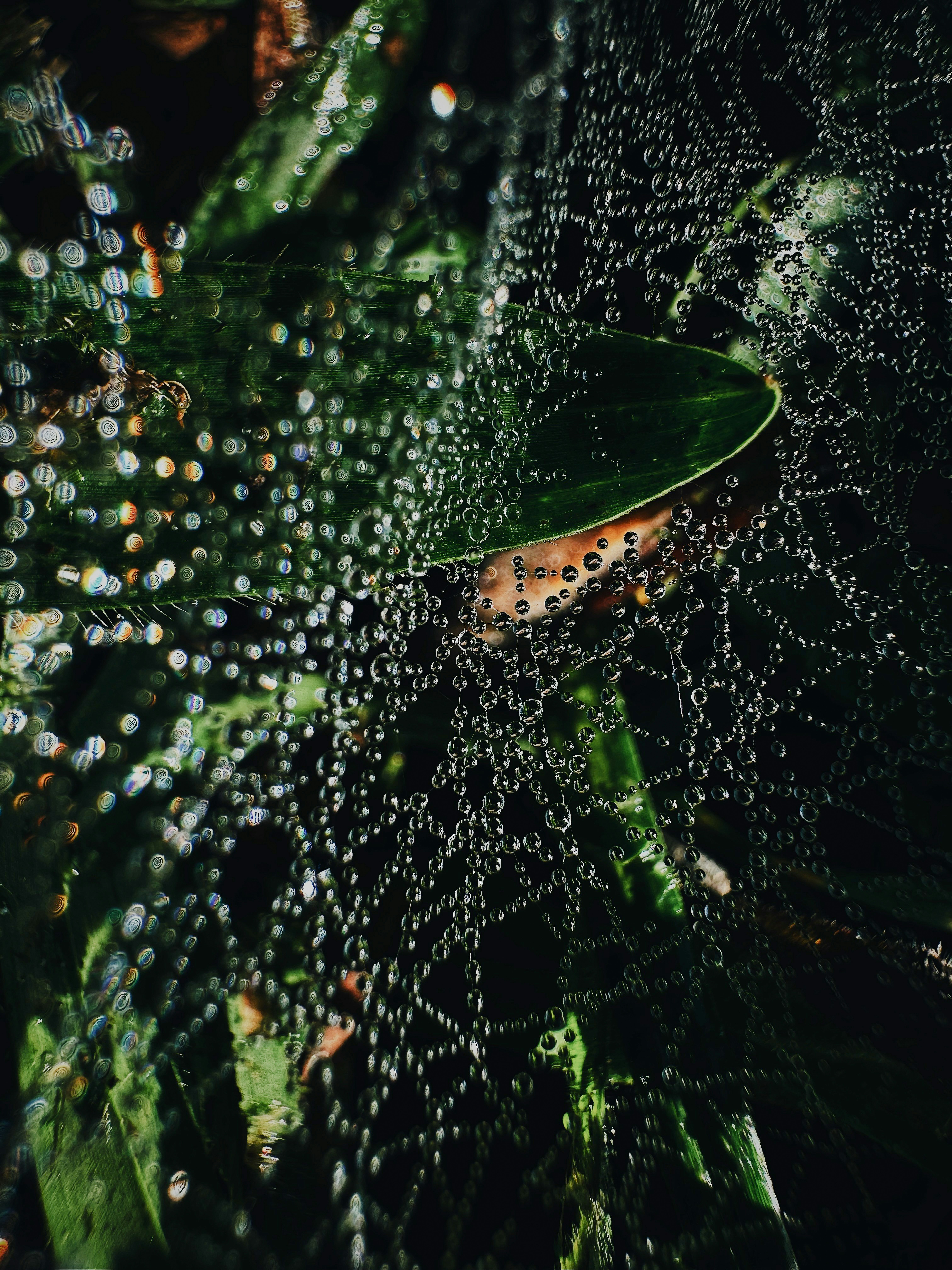 Photo by andreicastanha
