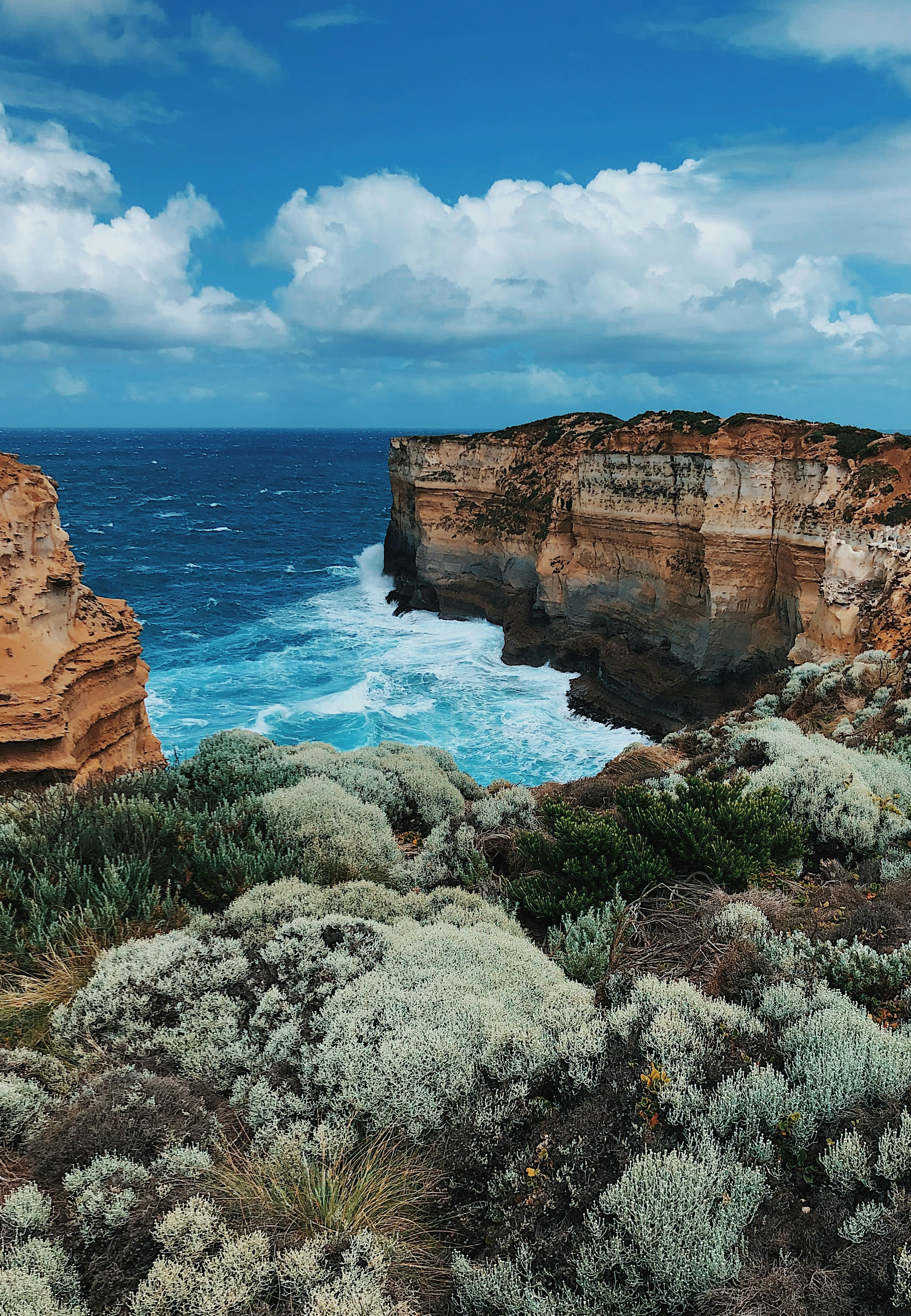 Photo by andreicastanha