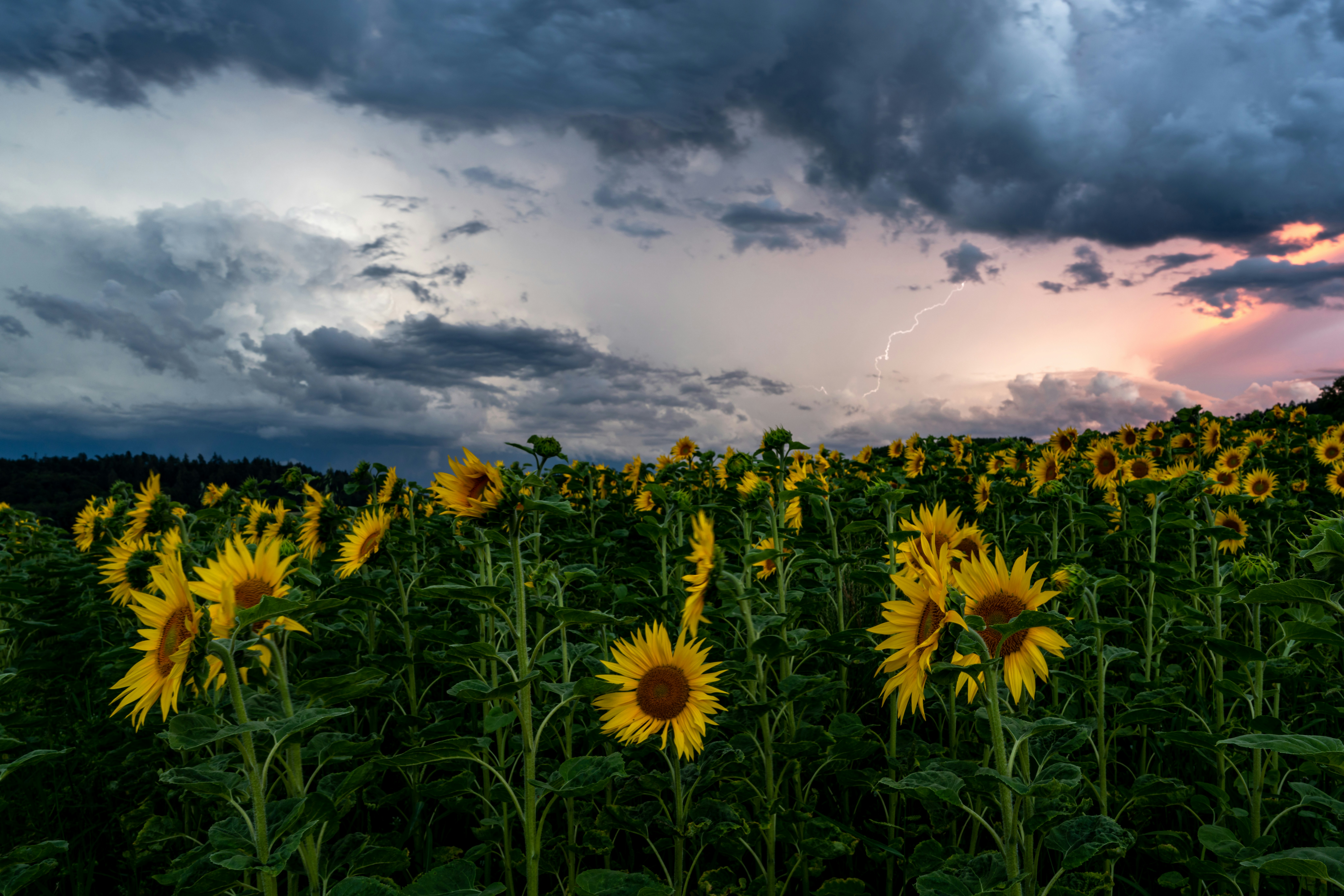 Go With The Most Ideal Option For Your Kid&#x27;S First Years By Comprehending The Considerable Distinctions In Between Preschool And Day Care