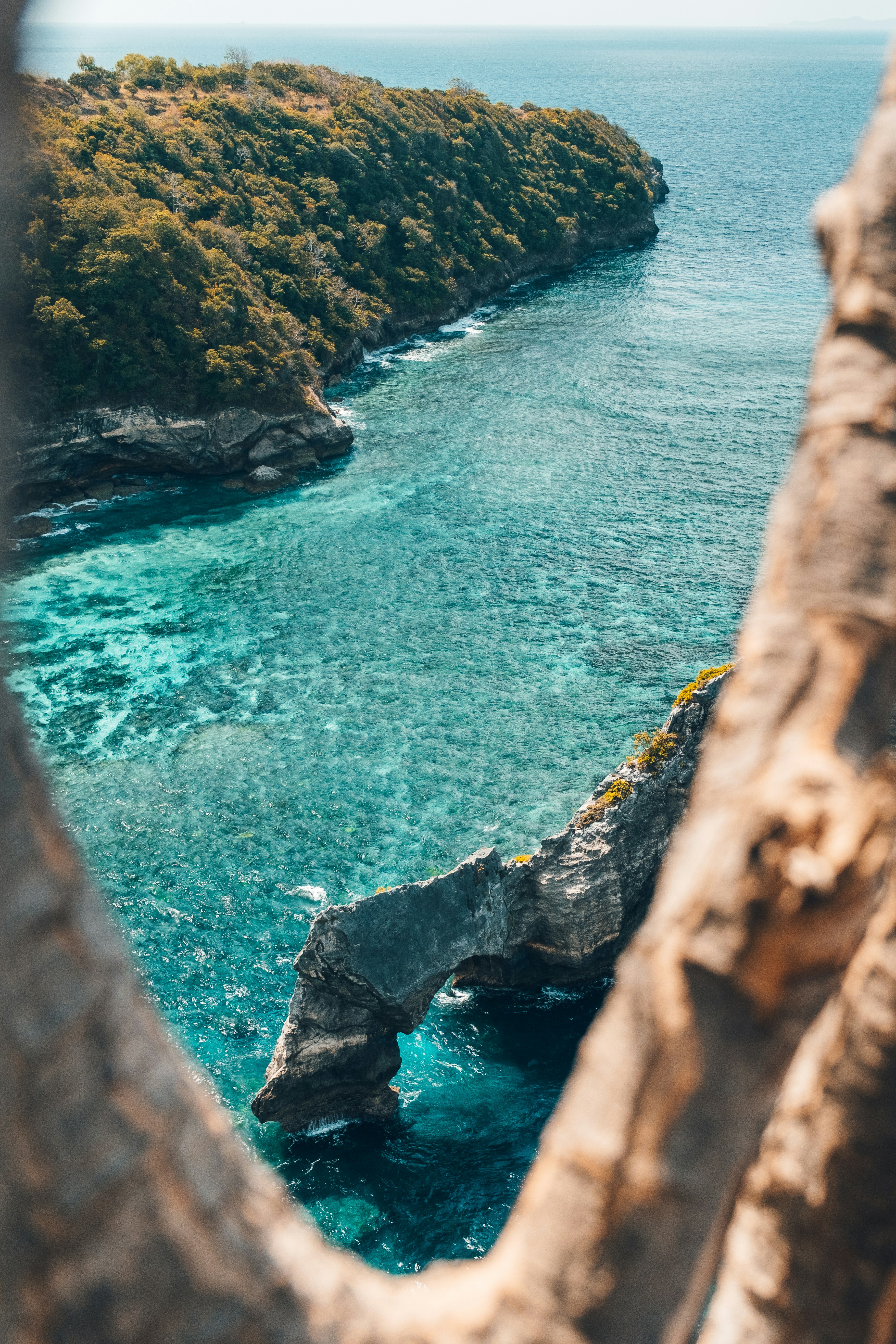 Photo by philipp_dice