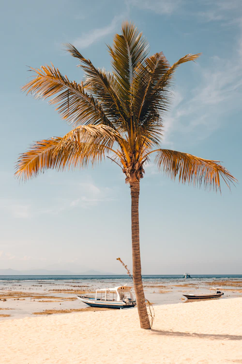 Arrival in Bali