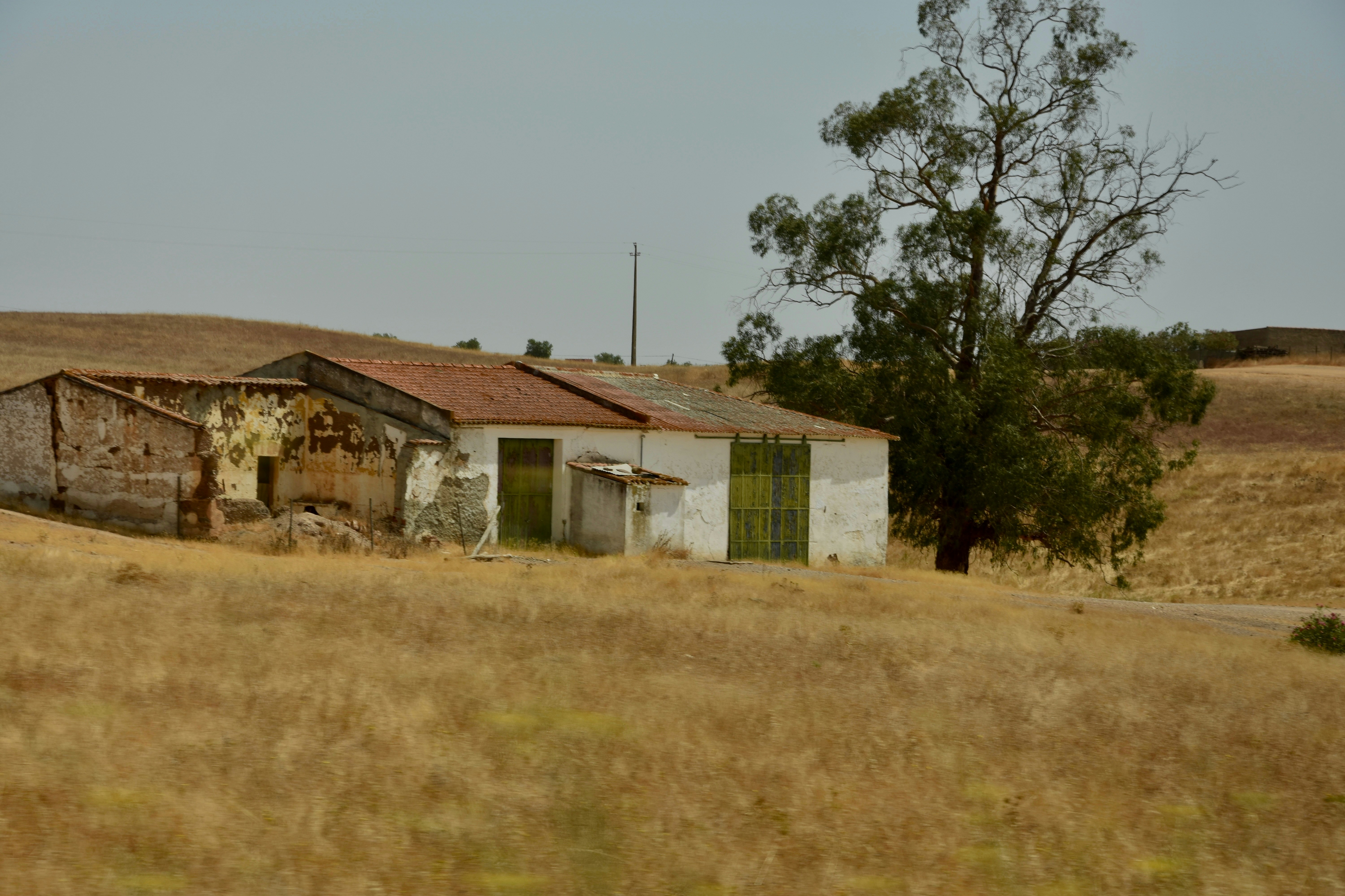 Photo by binogrepolian