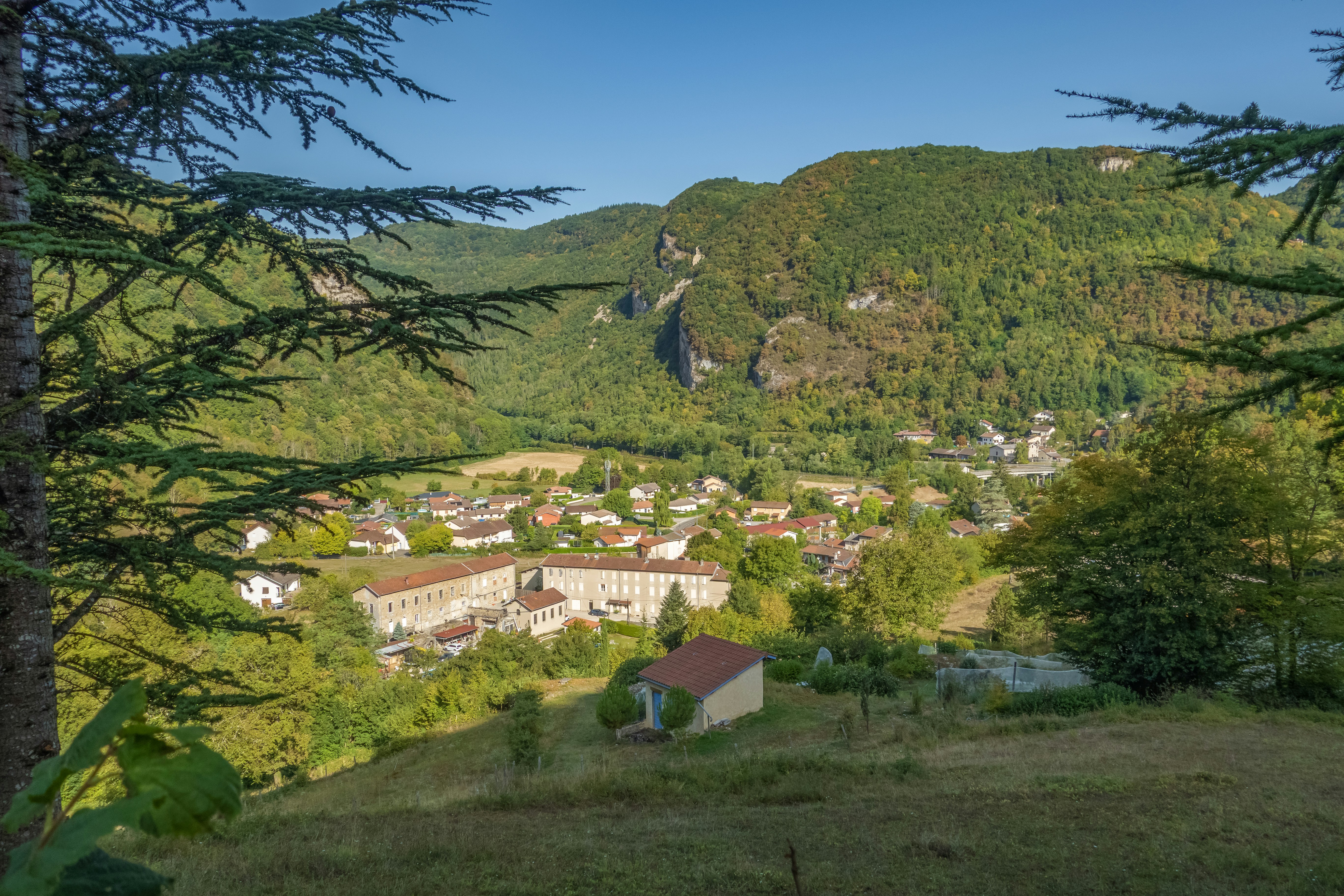 Green valley village surrounded by forested mountains