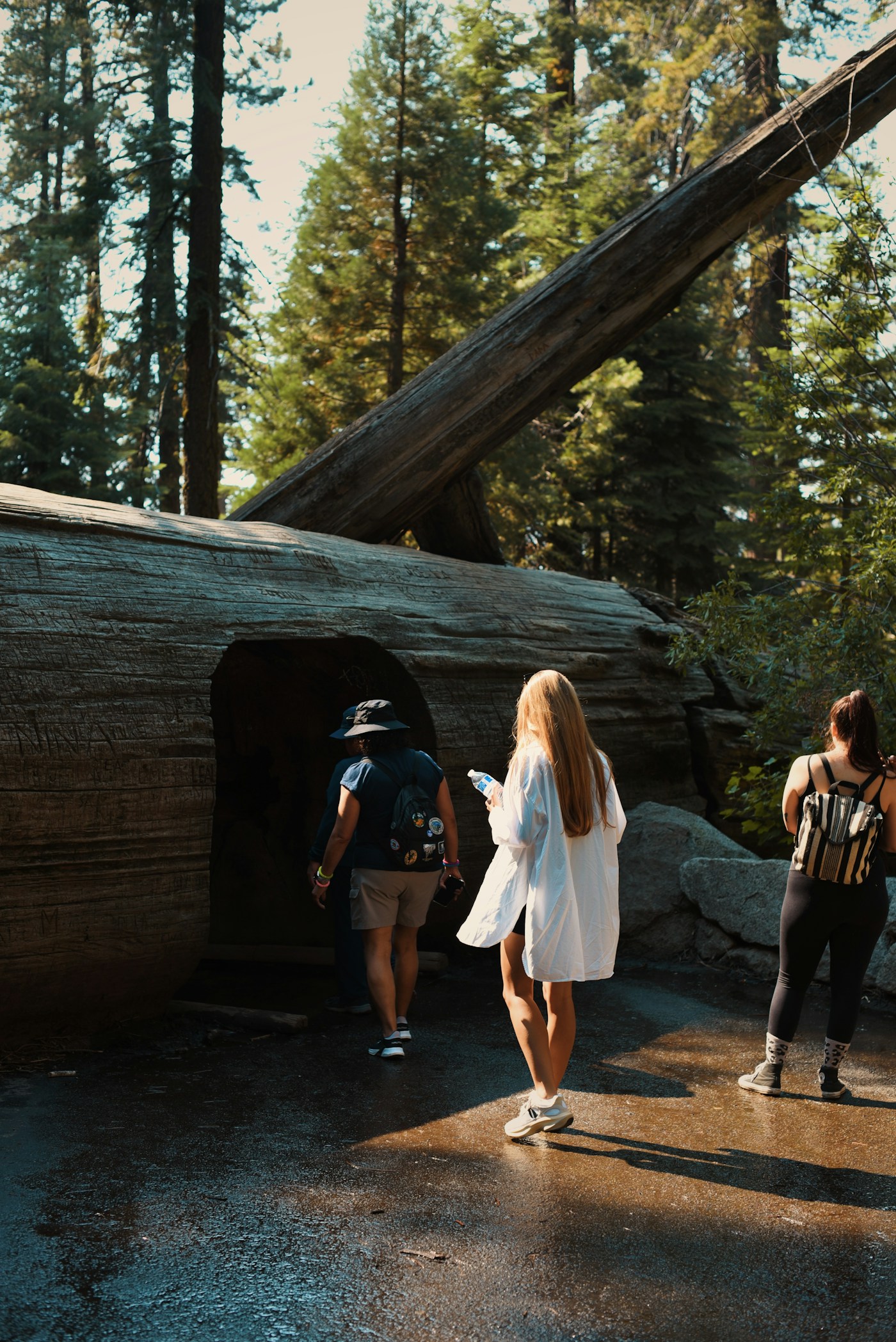 Curated Travel Experiences