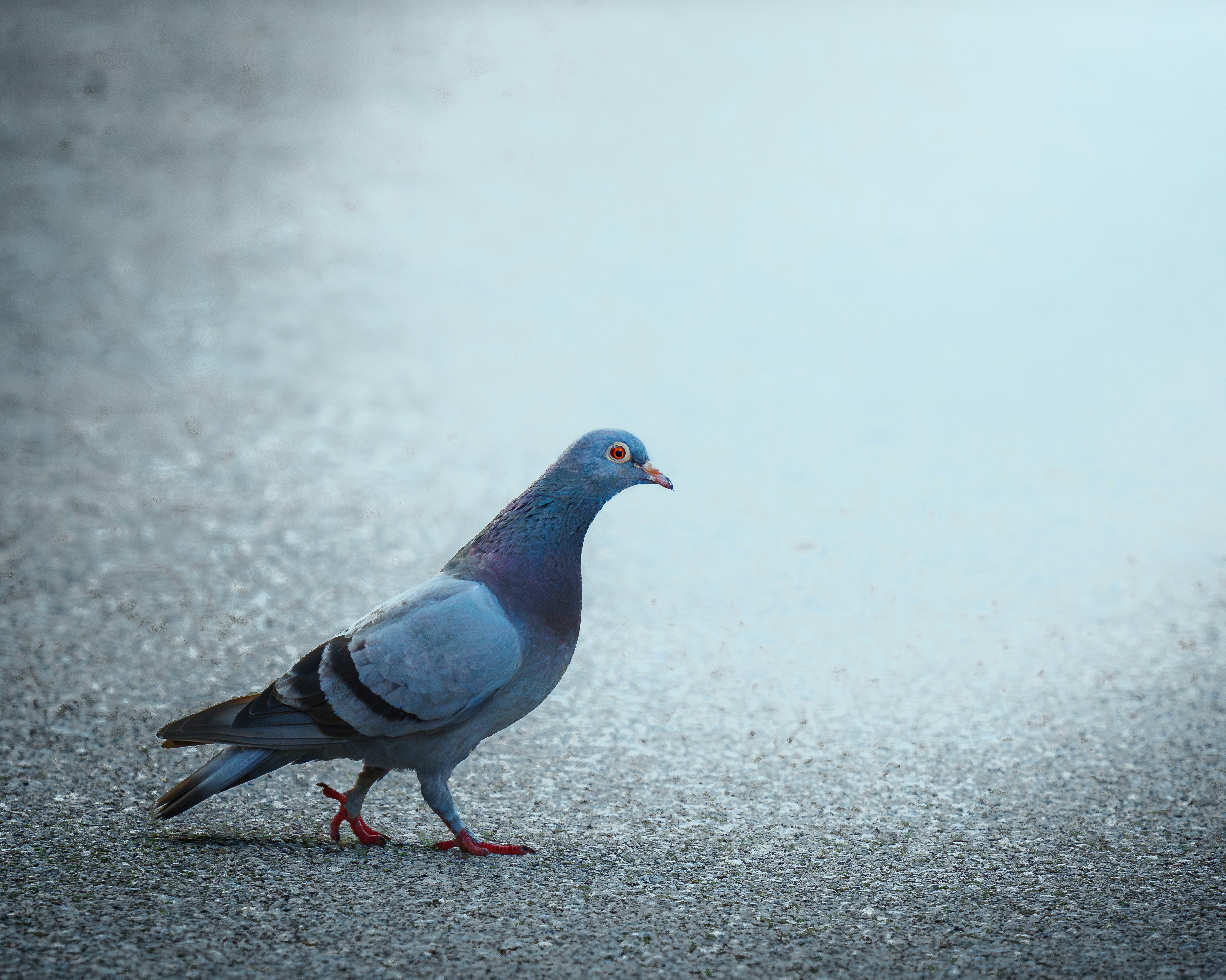 Photo by diljotbphotography