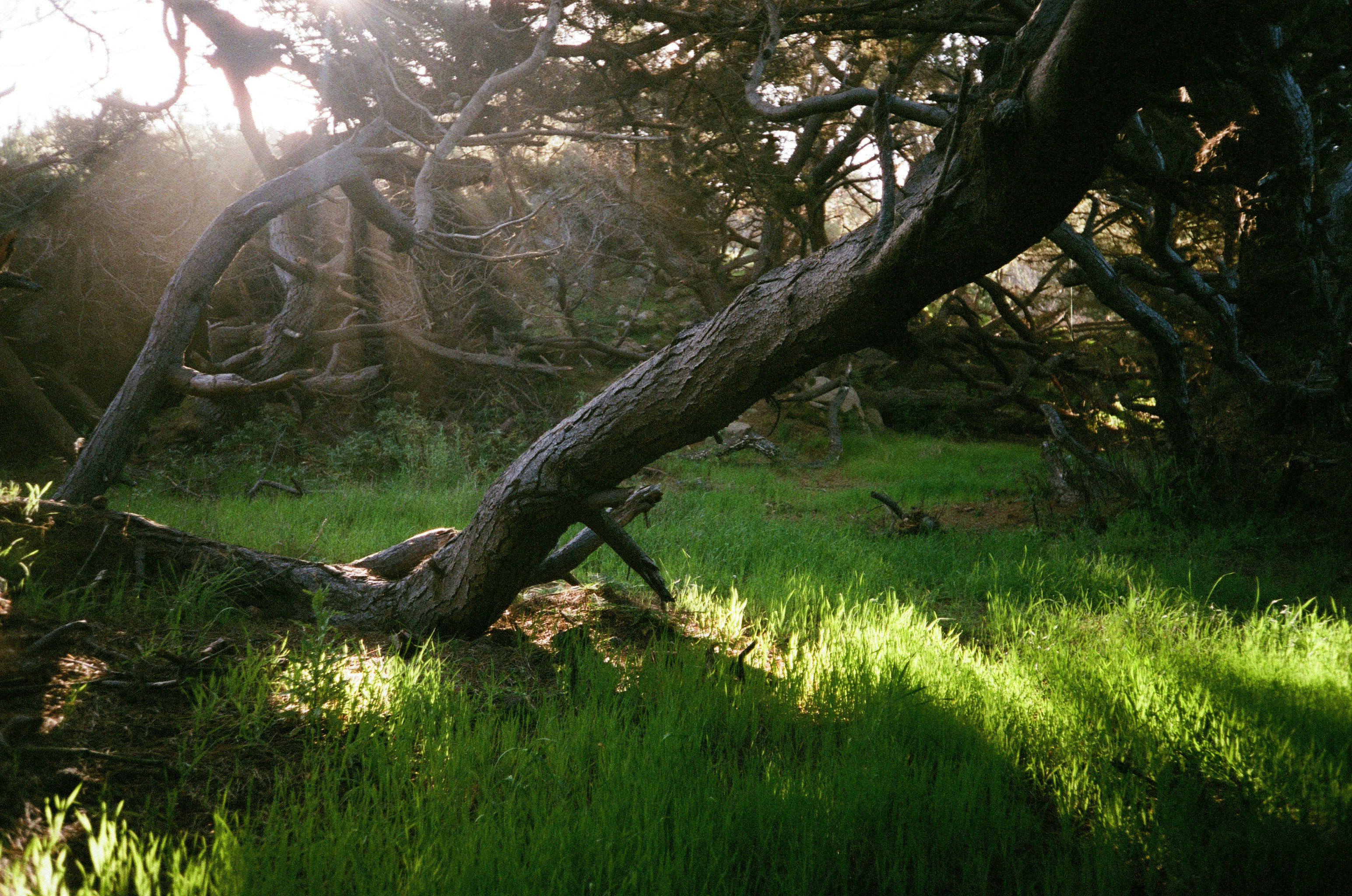 Photo by polinalavor