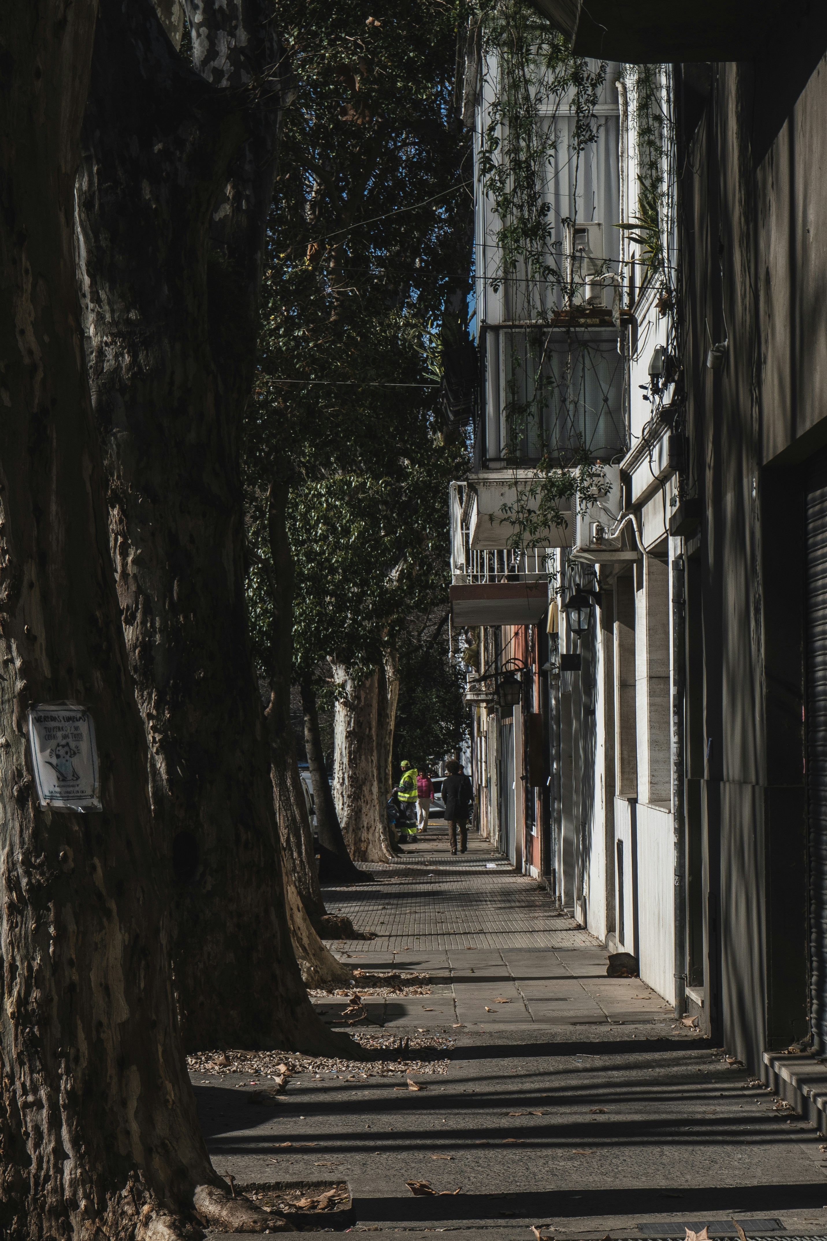 Photo by theguilhermeramos