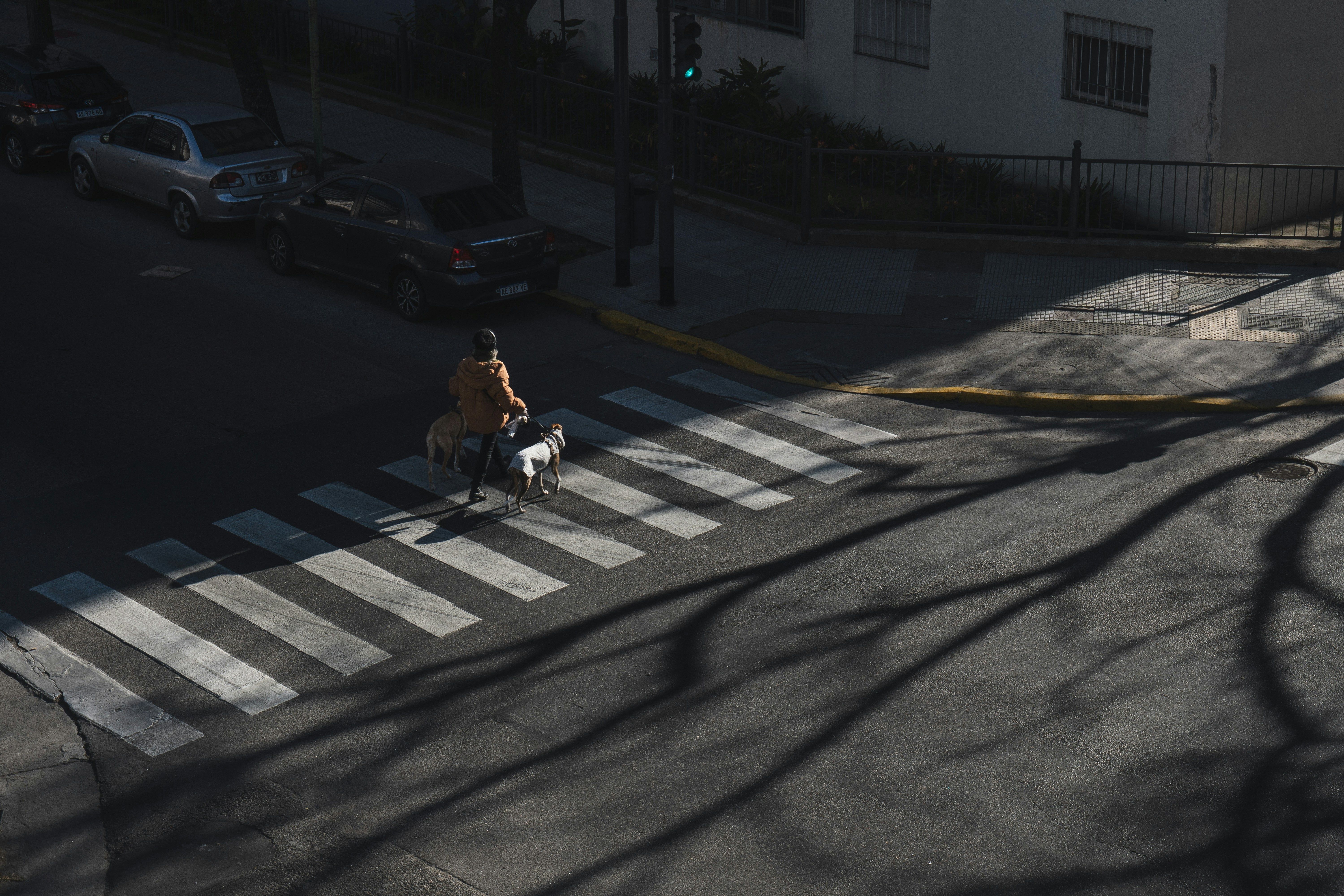 Photo by theguilhermeramos