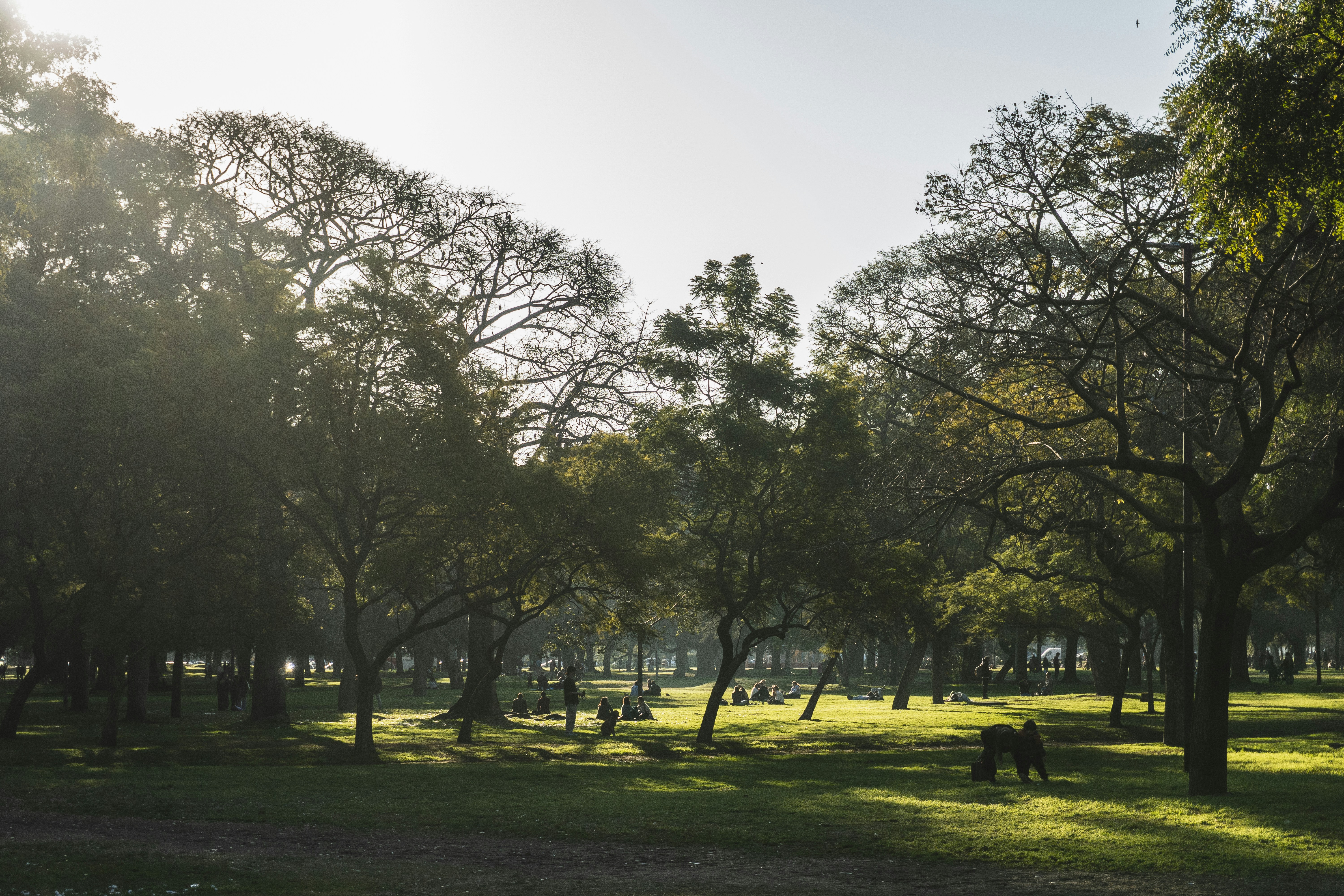 Photo by theguilhermeramos