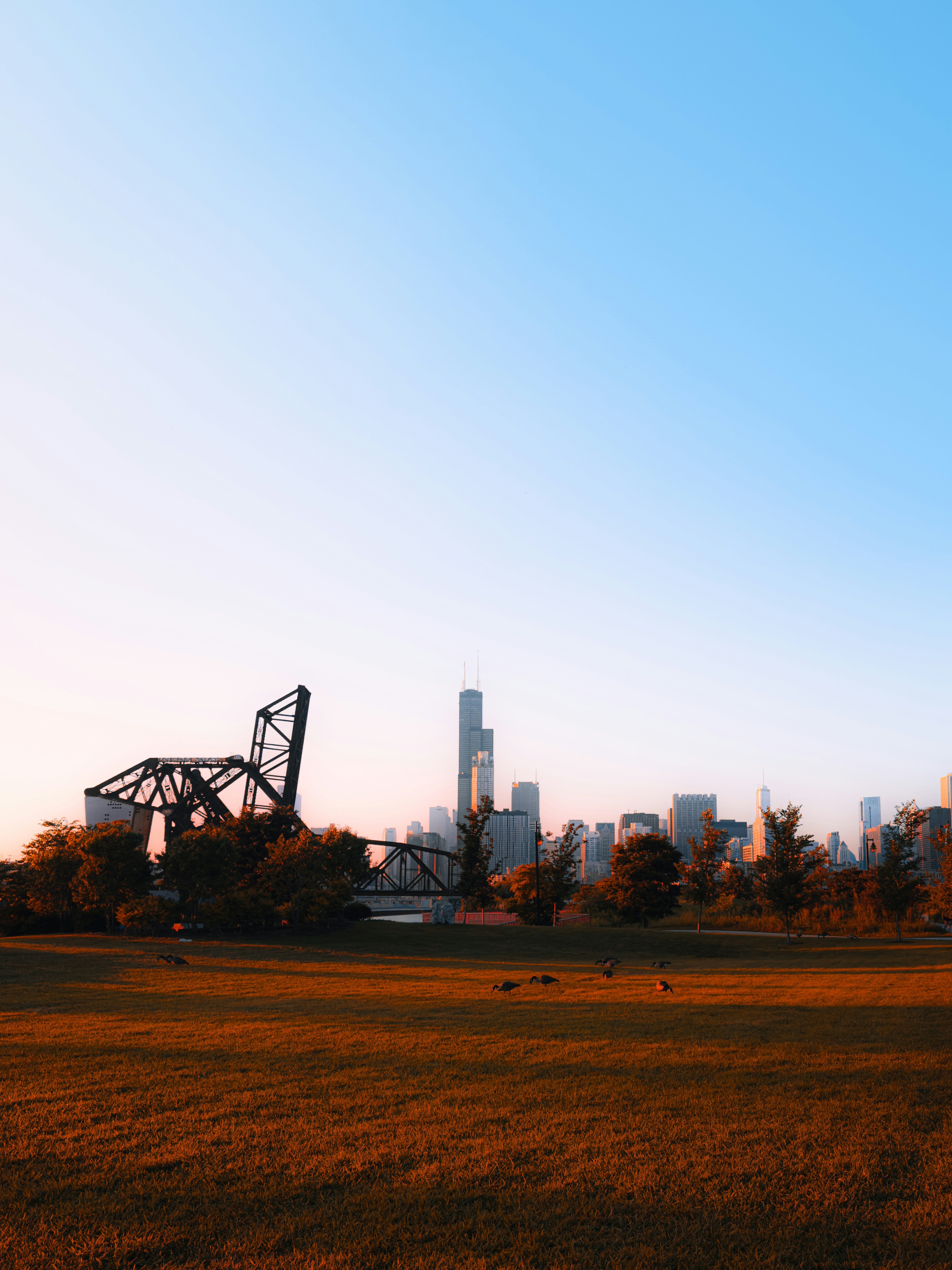 City skyline with bridge and grassy field at sunset