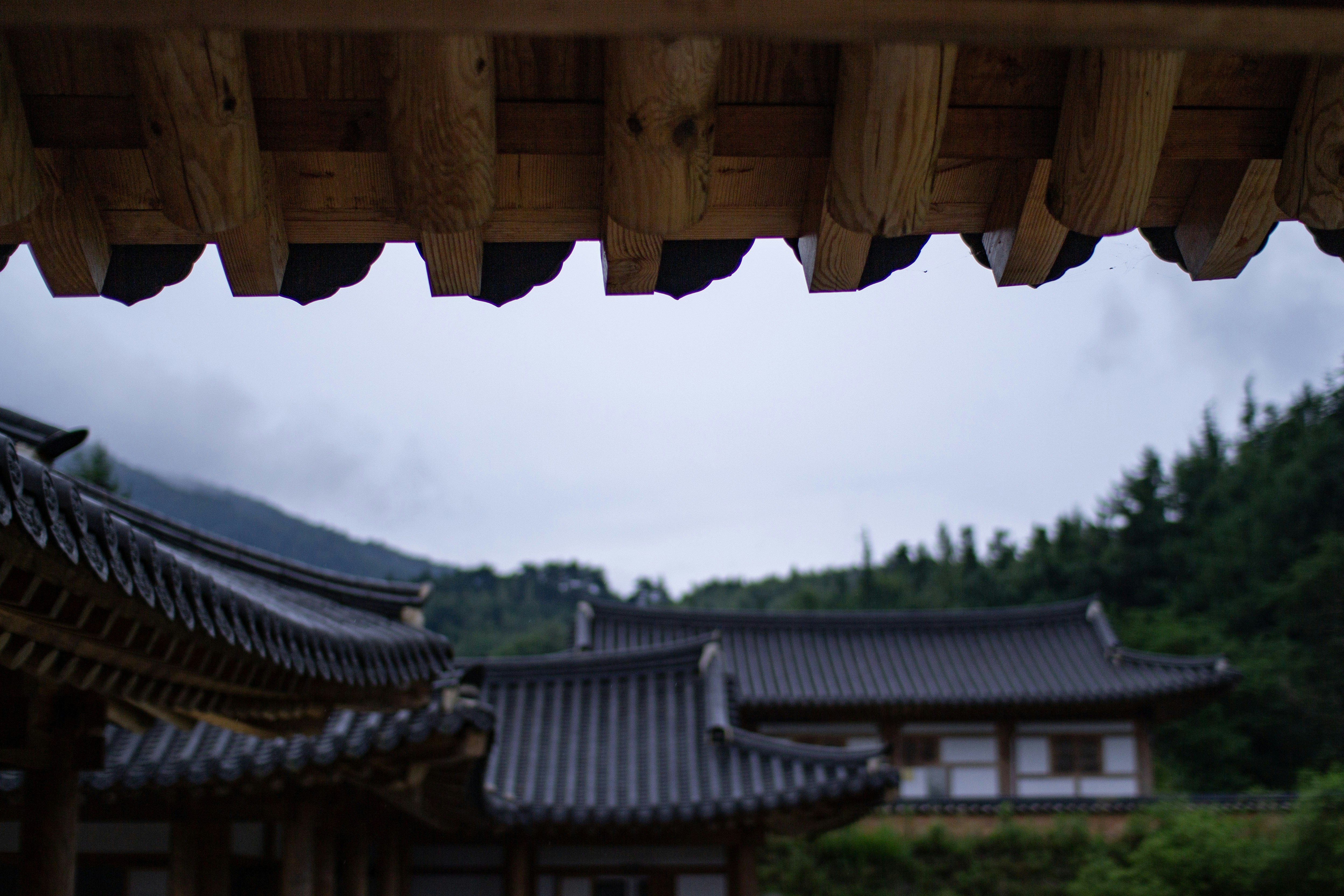 Photo by chocolate_milk_denmark