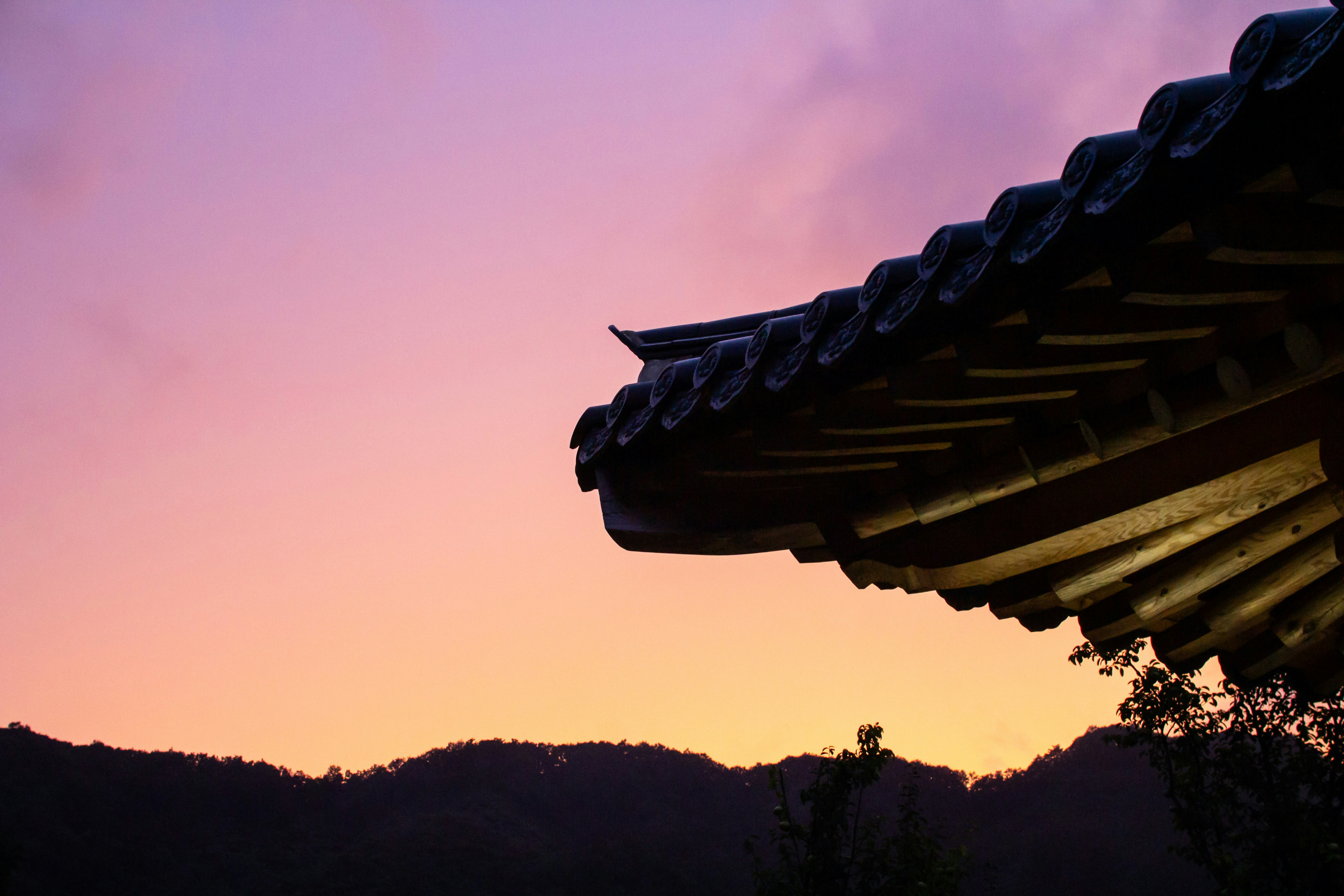 Photo by chocolate_milk_denmark