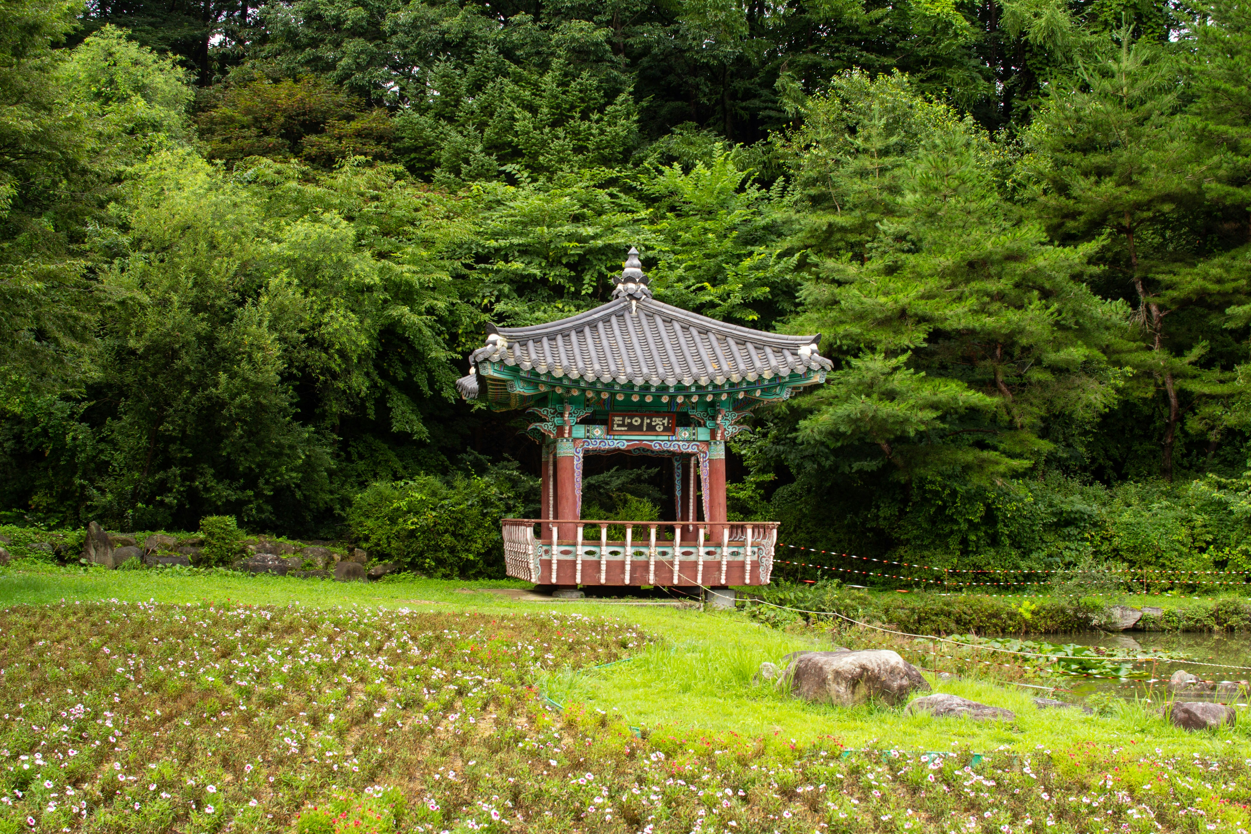 Photo by chocolate_milk_denmark