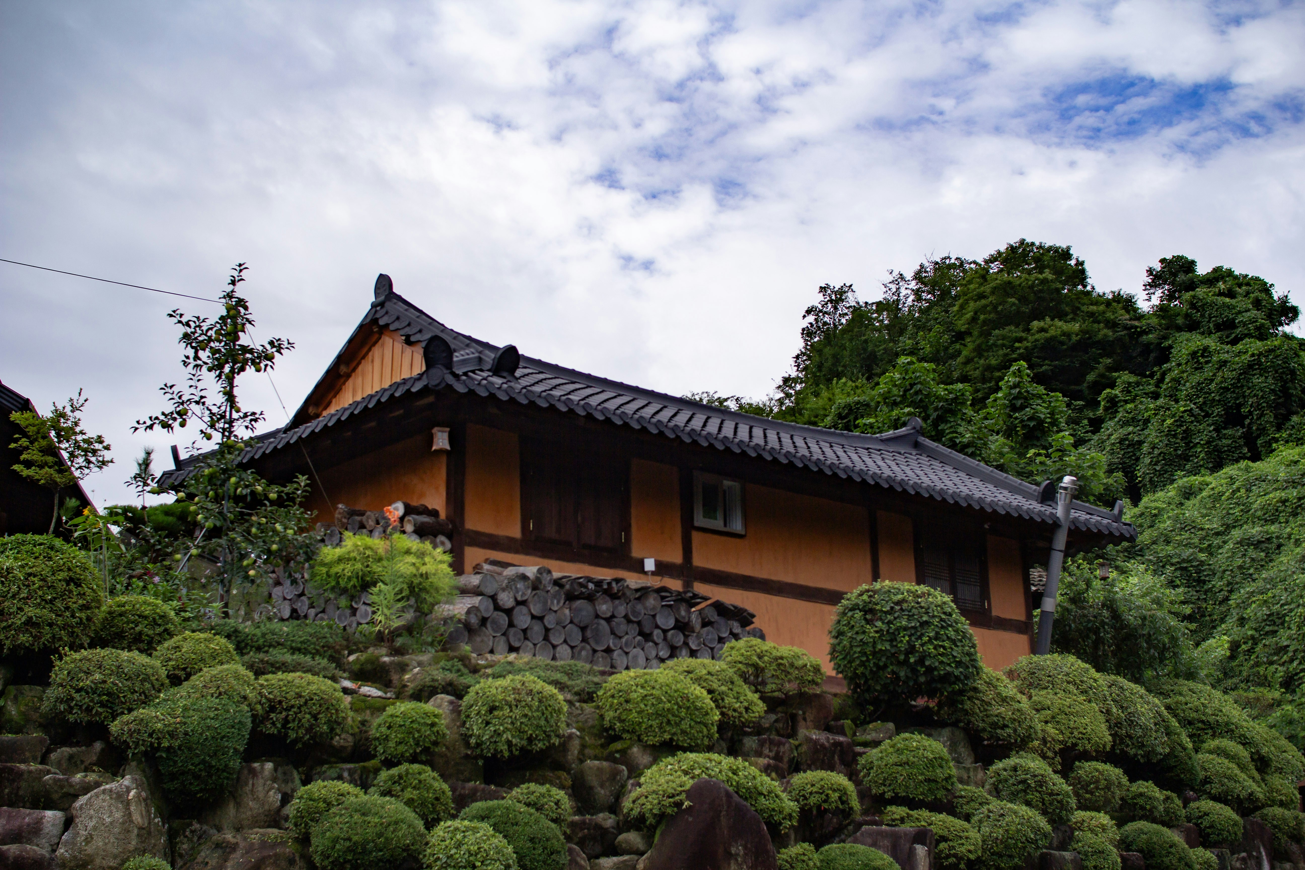 Traditional korean house nestled among lush greenery