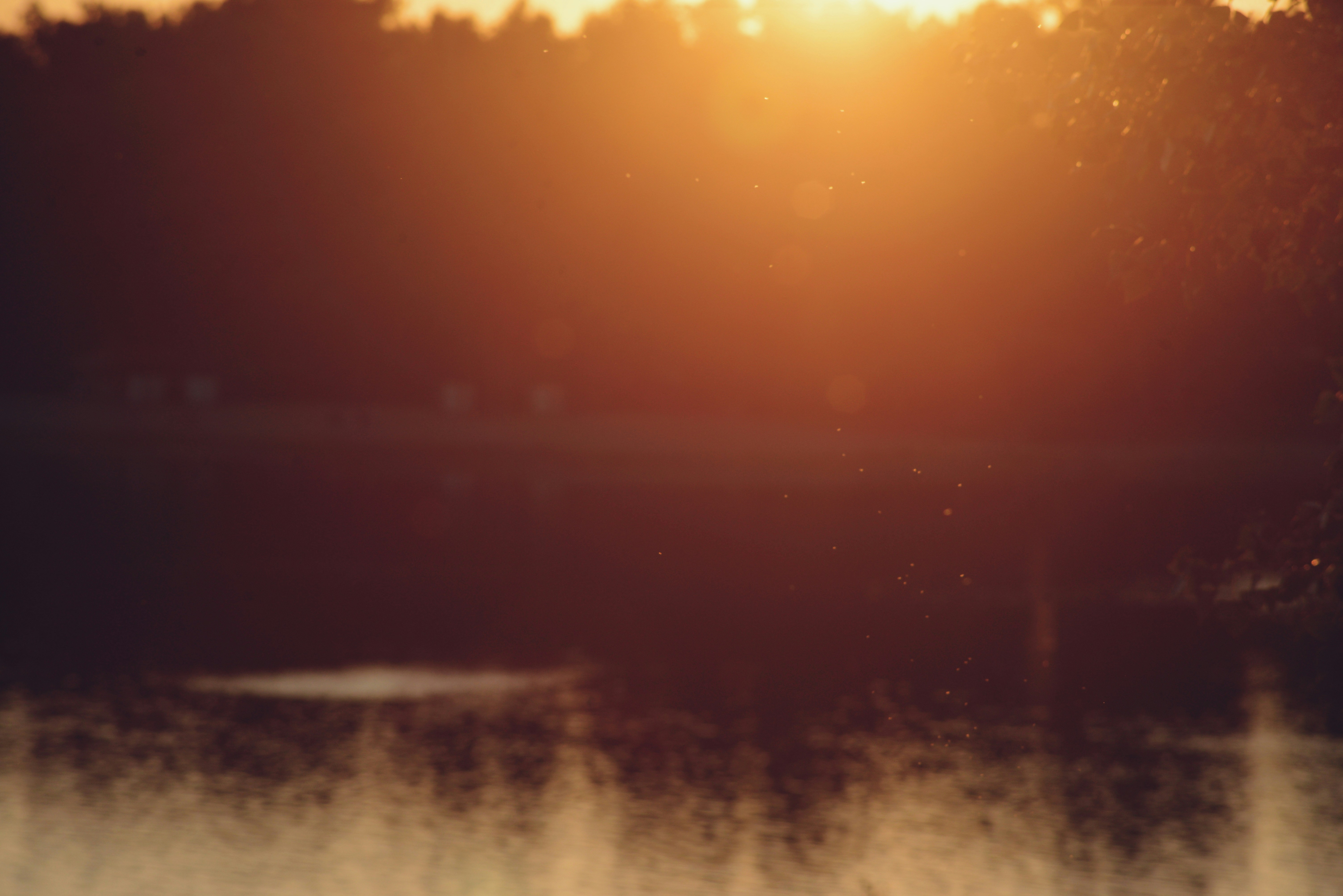 Photo by cherstve_pechivo