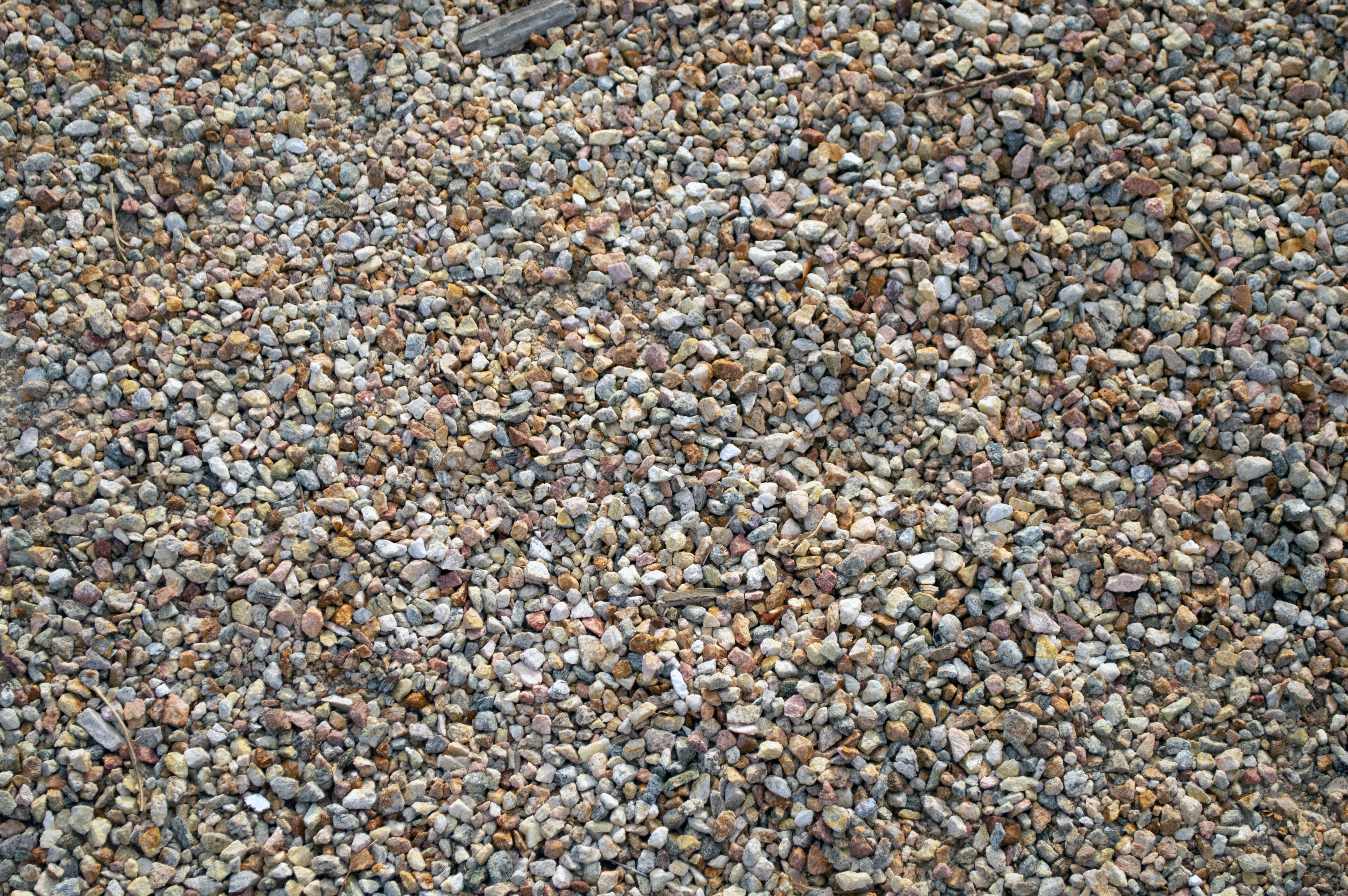 Photo by bryancolosky