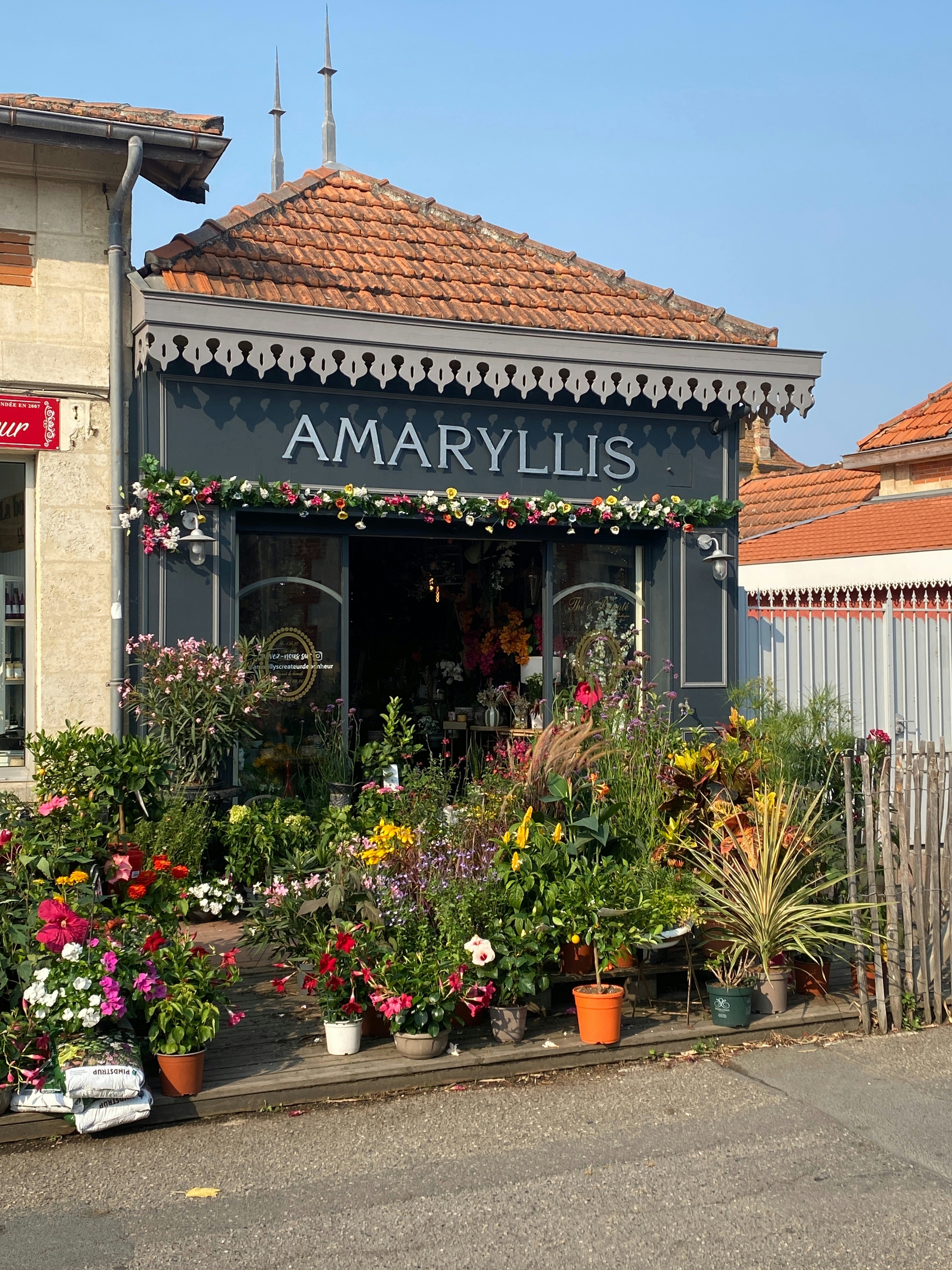 Flower shop with abundant plants and flowers outside