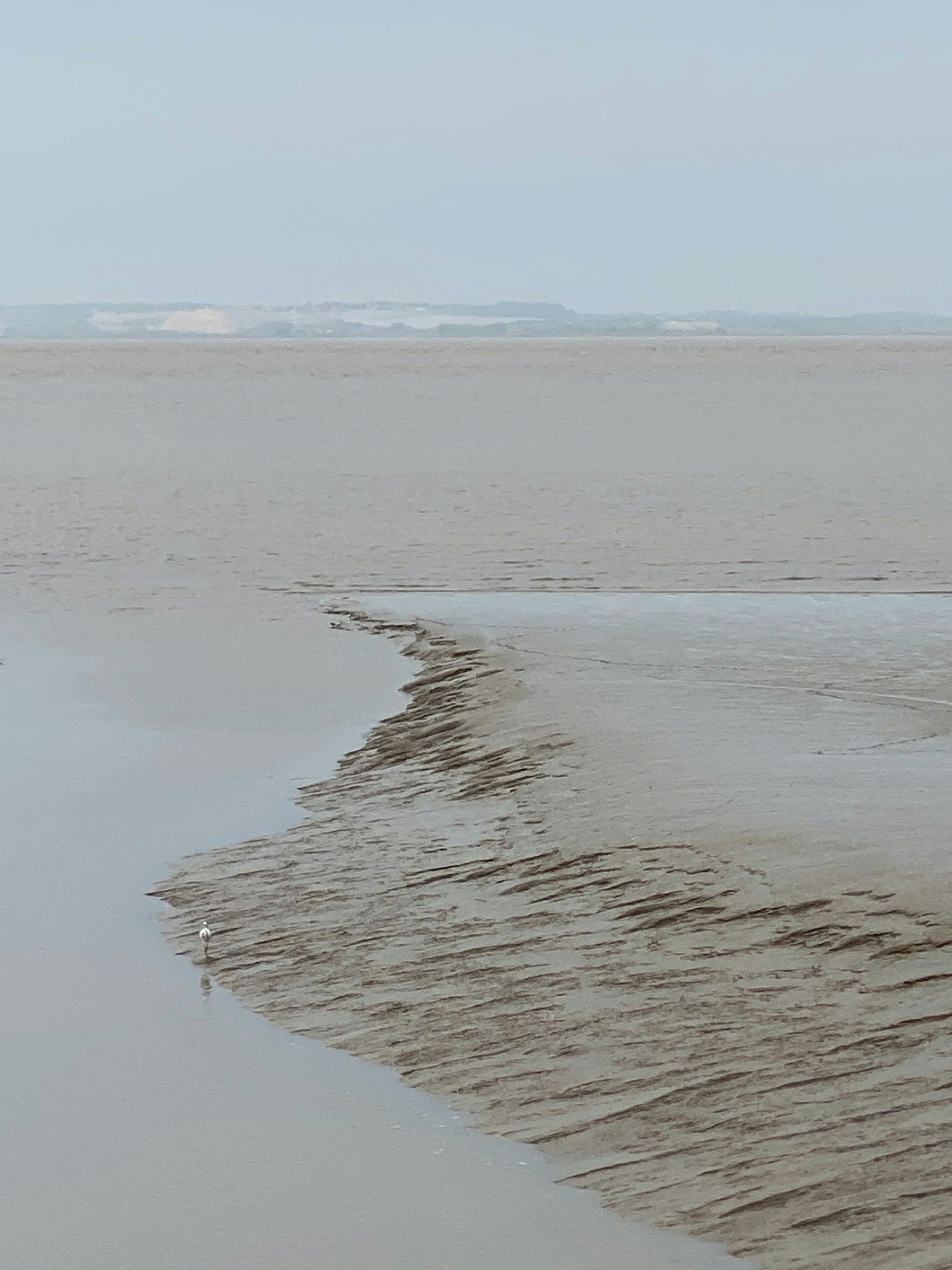 Mudflats with a small bird on the shore