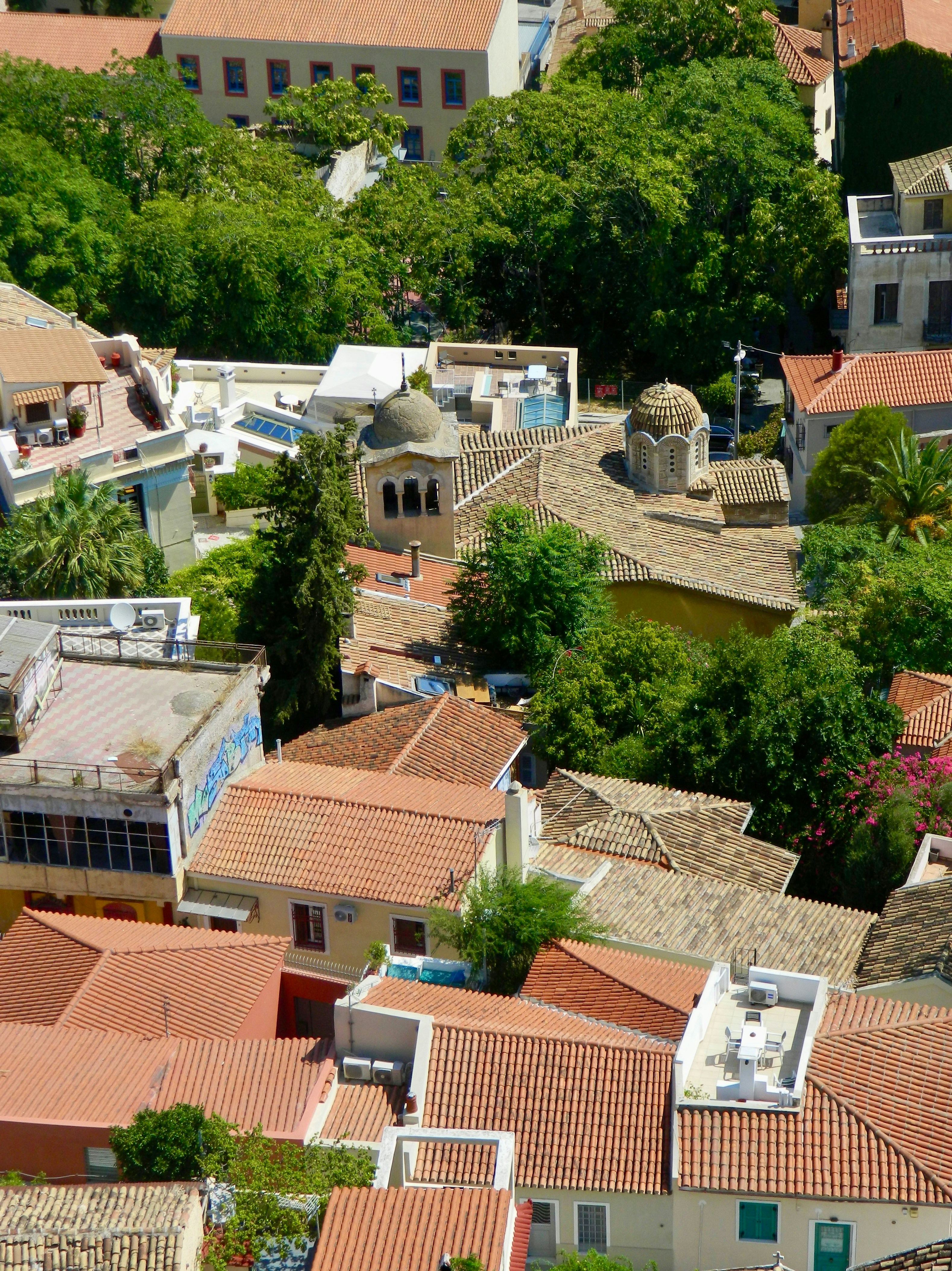 Rooftops and trees in a dense urban area