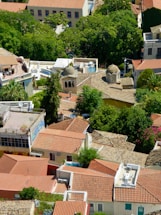 Rooftops and trees in a dense urban area