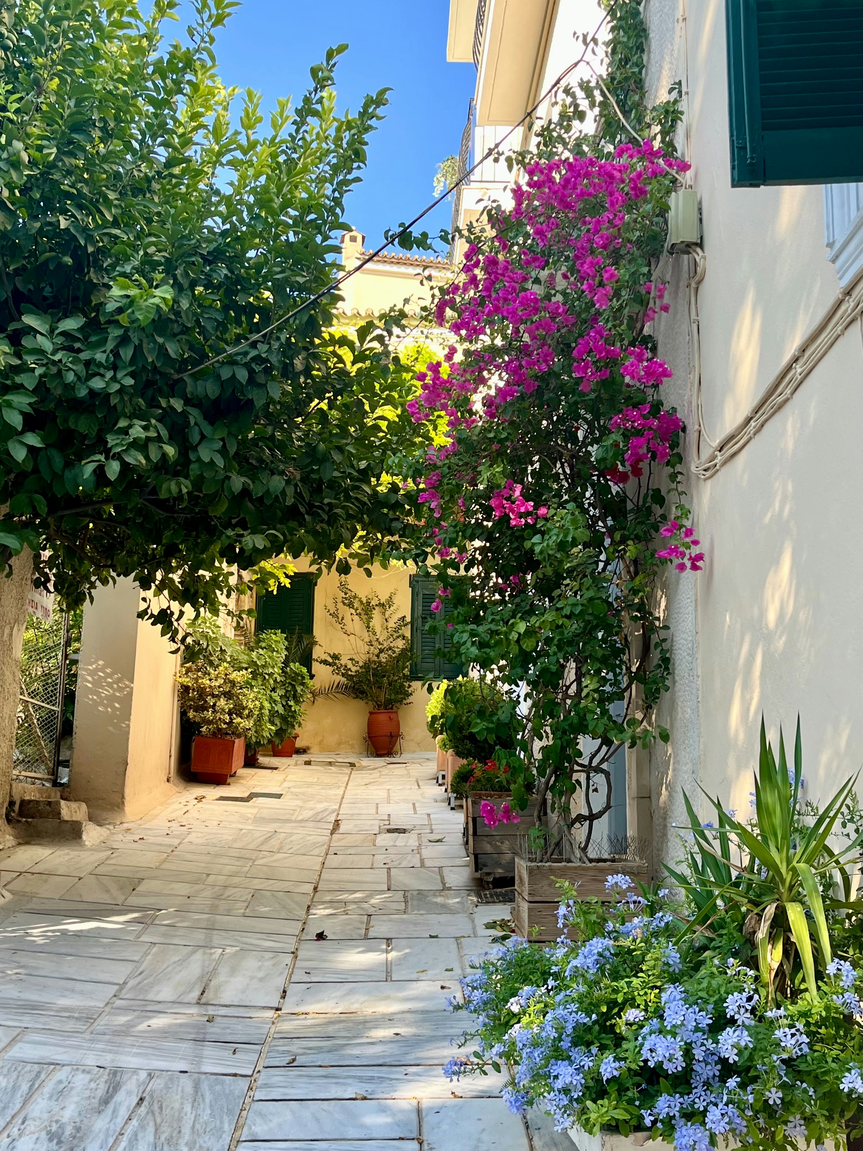 Narrow cobblestone alley with blooming flowers and greenery.