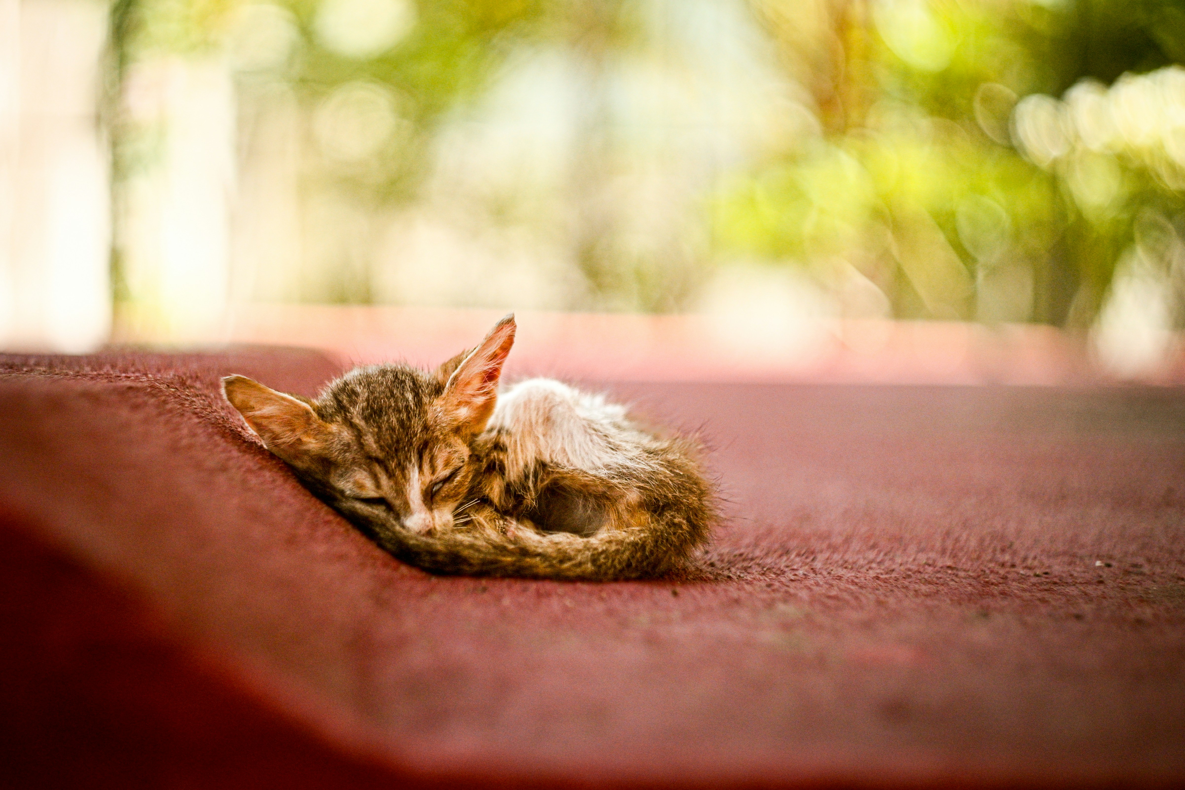 Photo by anoopvlenspoetry