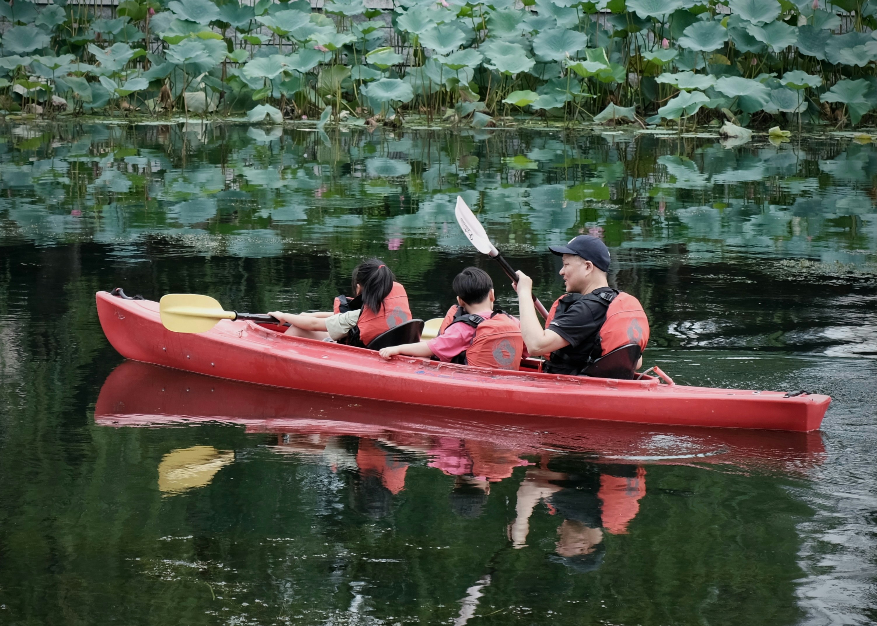 Family kayaking on a calm lake with lily pads