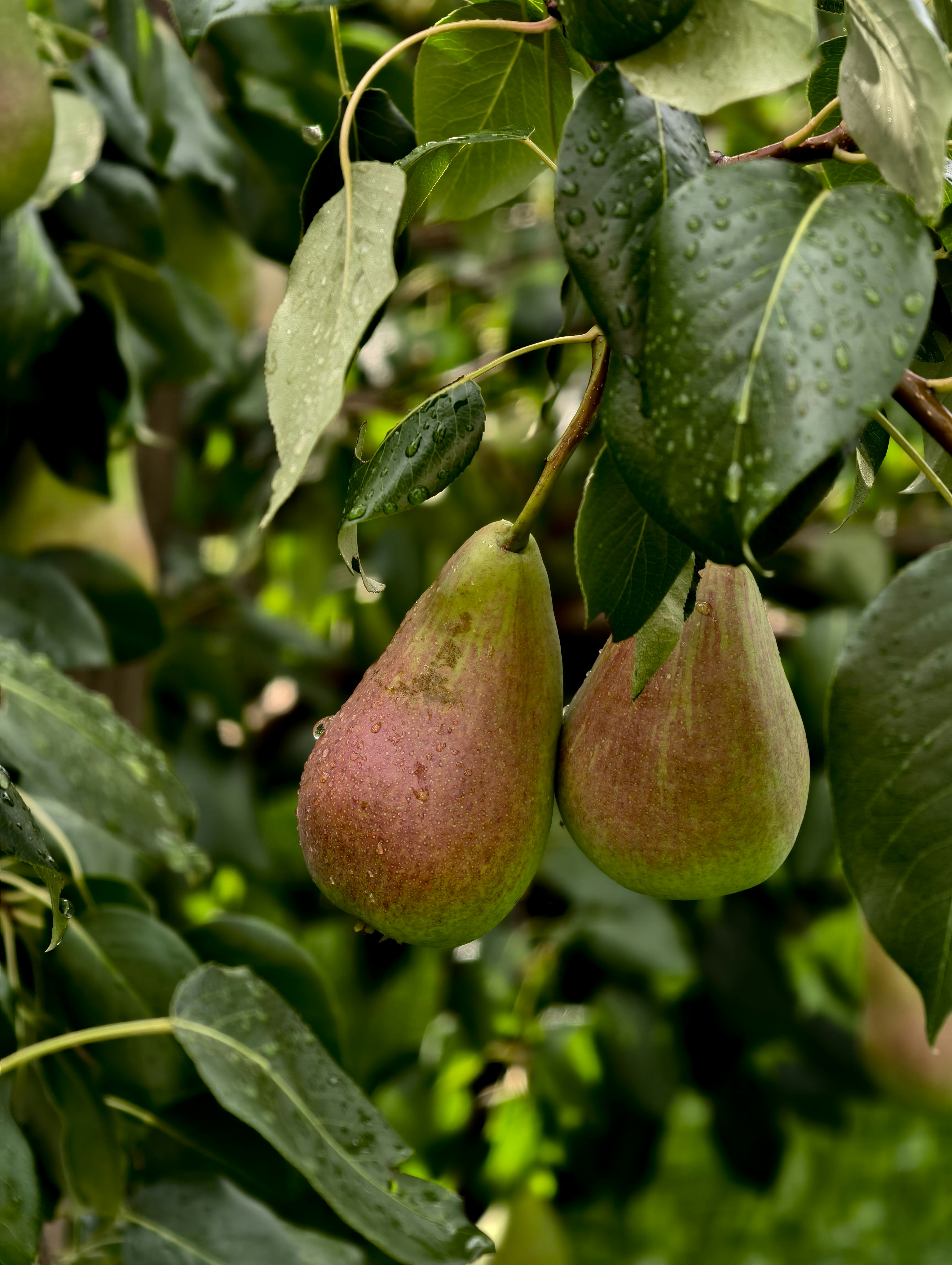 Photo by ann_integra