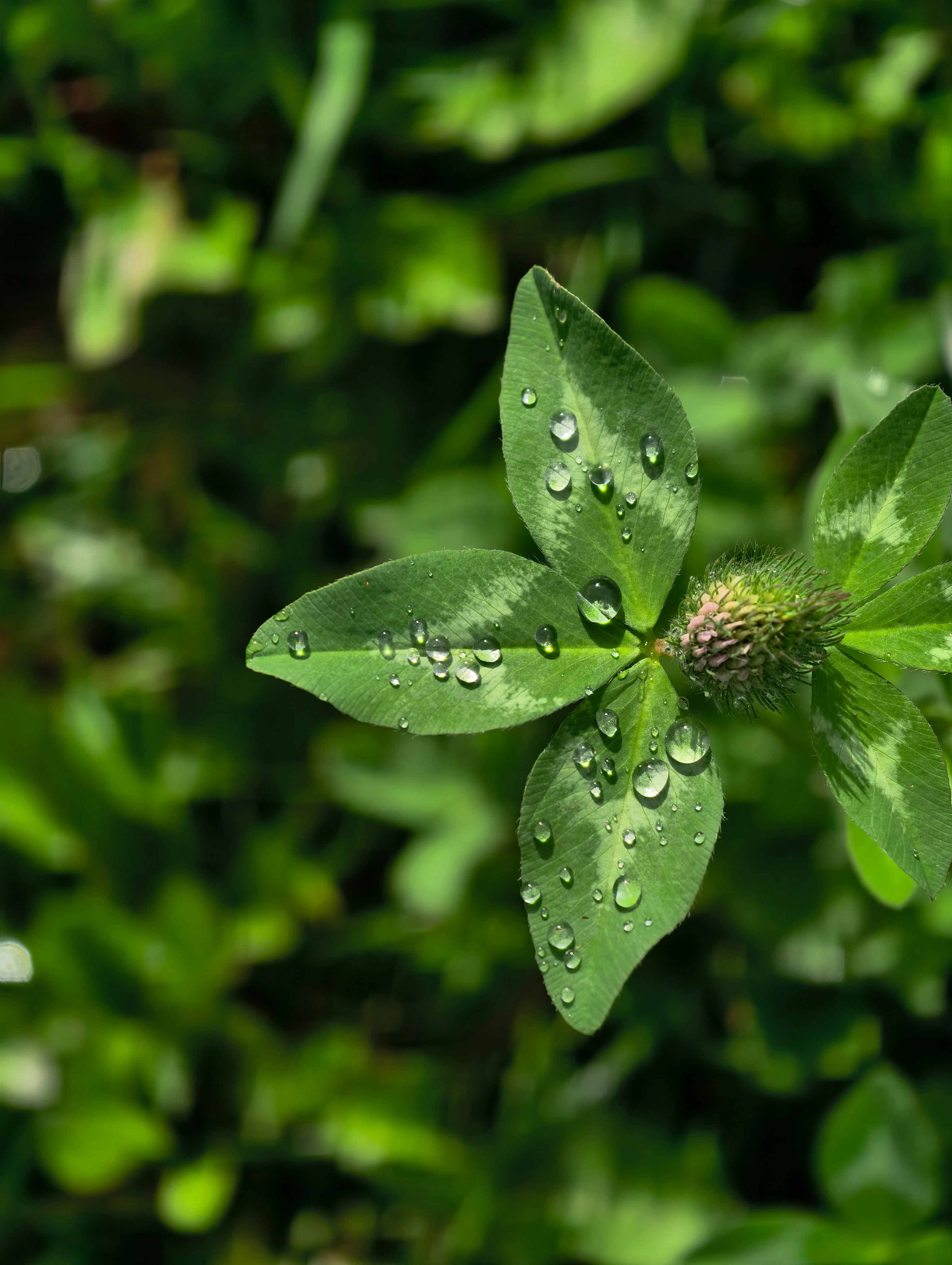 Photo by ann_integra