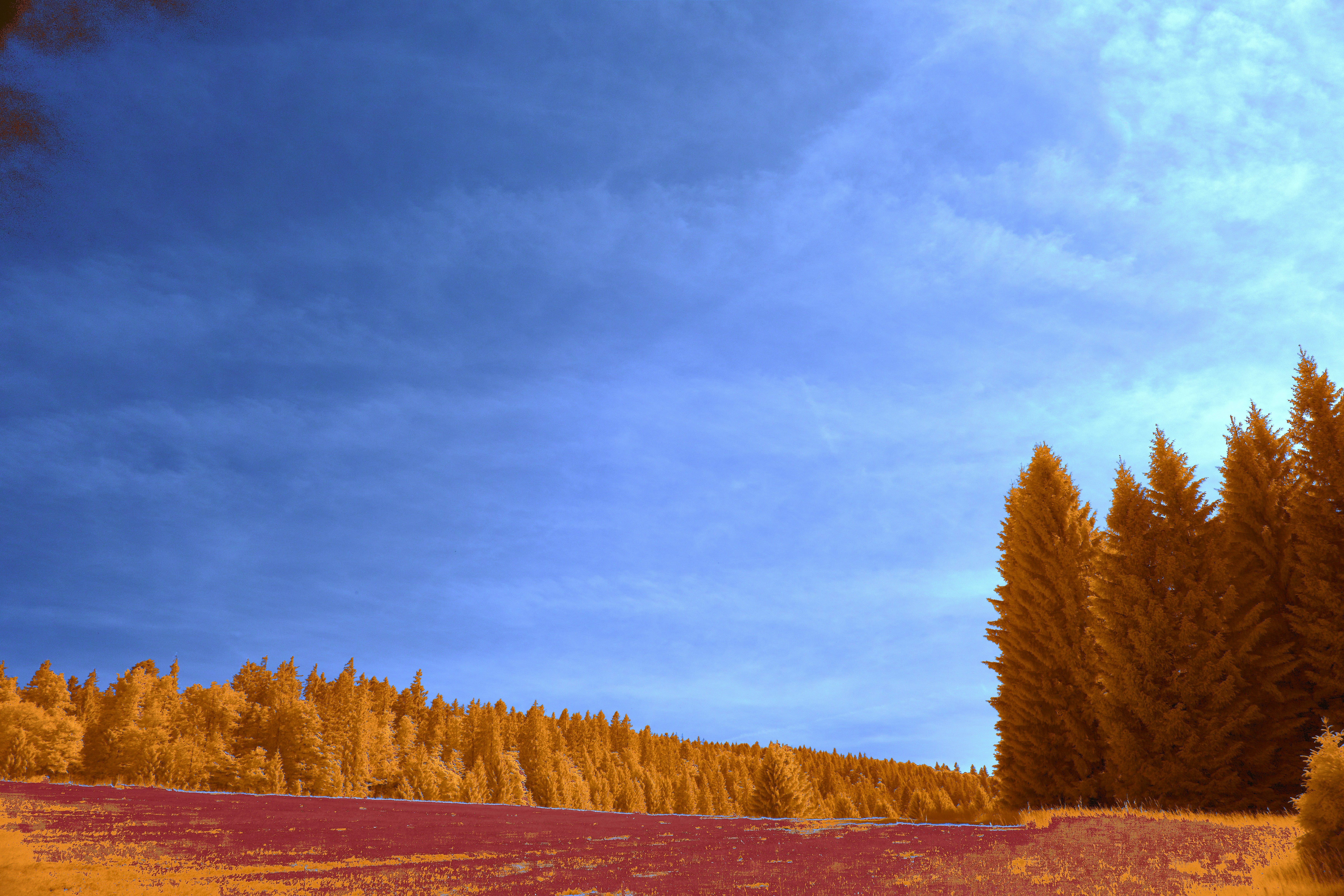 Photo by wolfgang_hasselmann