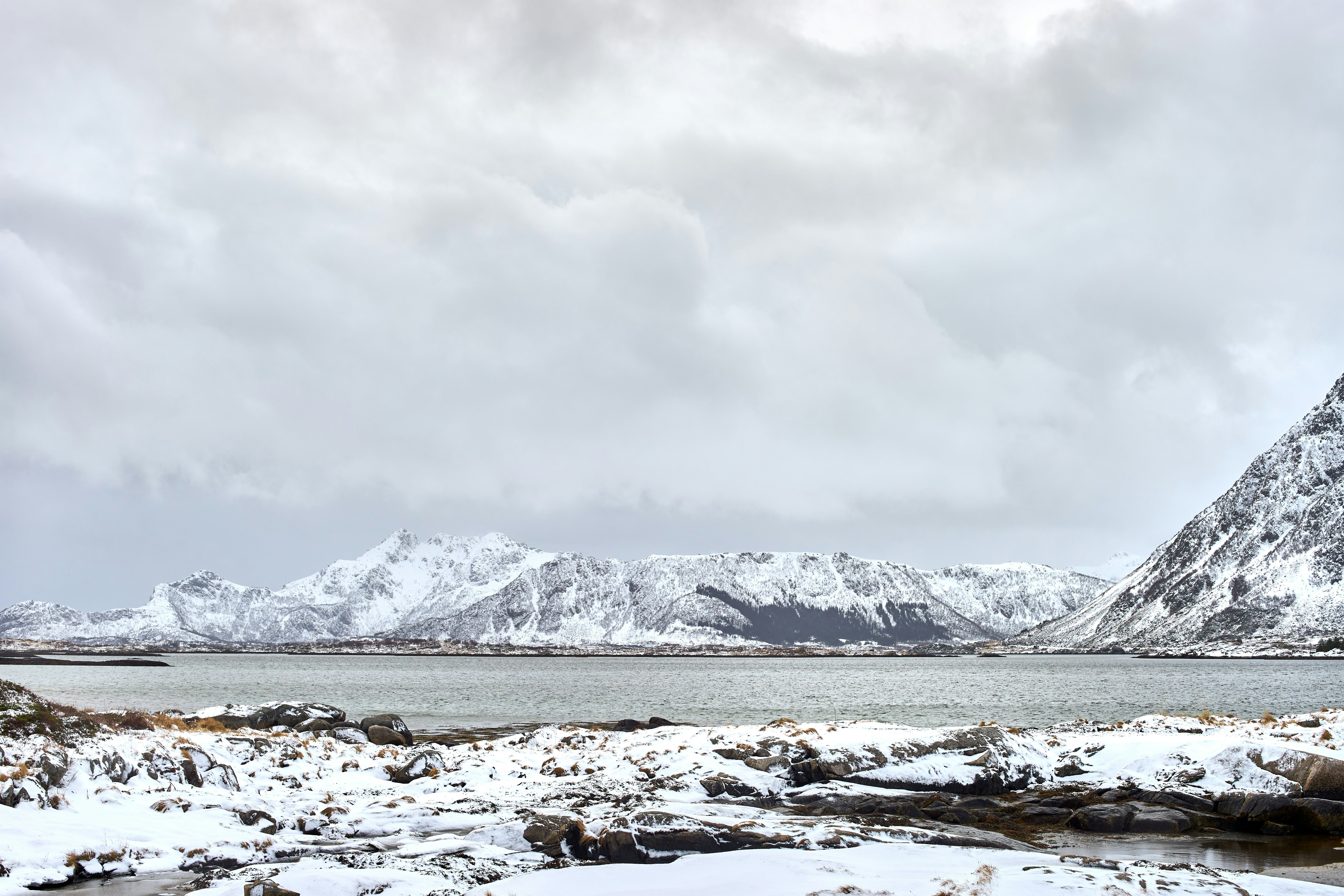 Photo by wolfgang_hasselmann