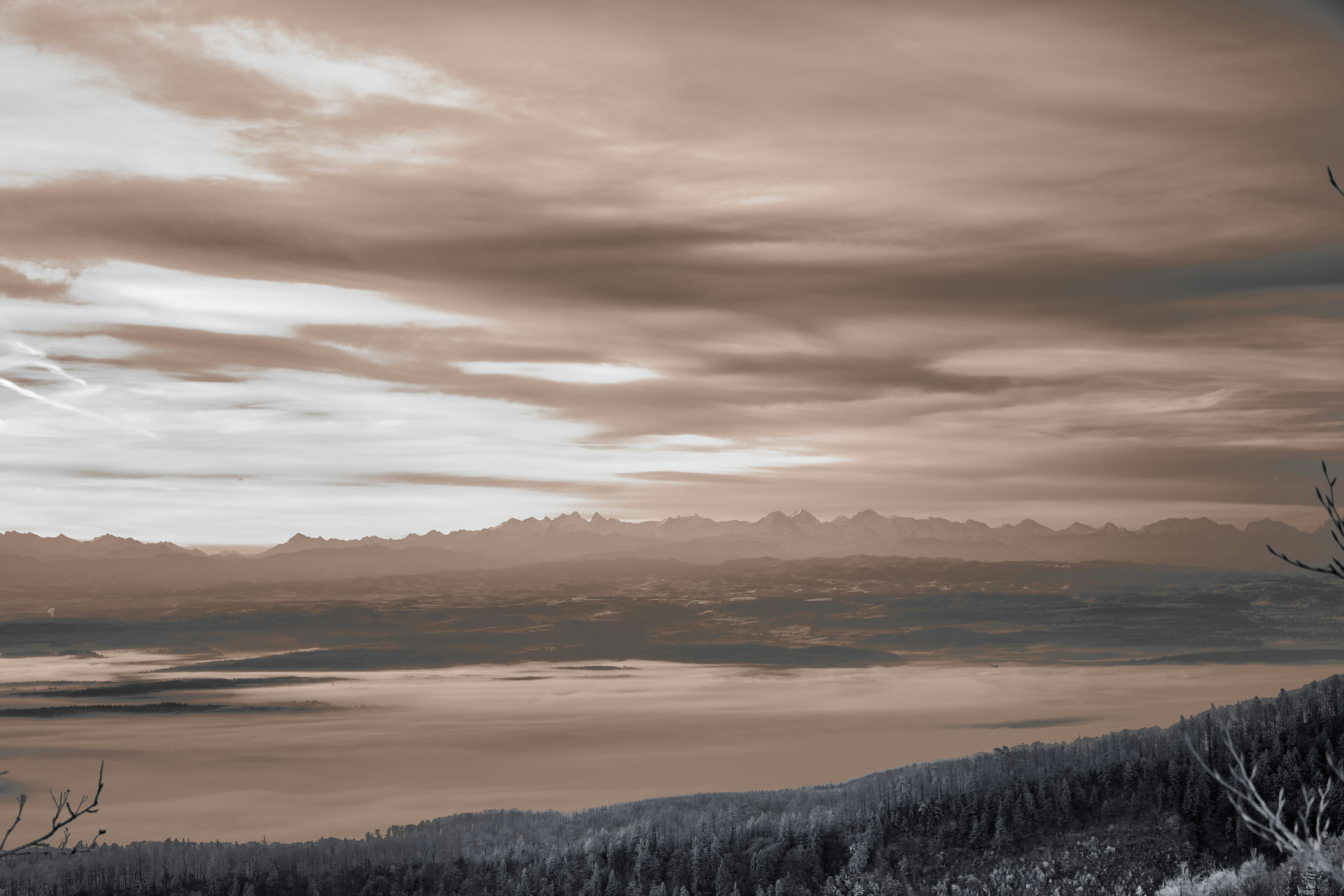 Photo by wolfgang_hasselmann