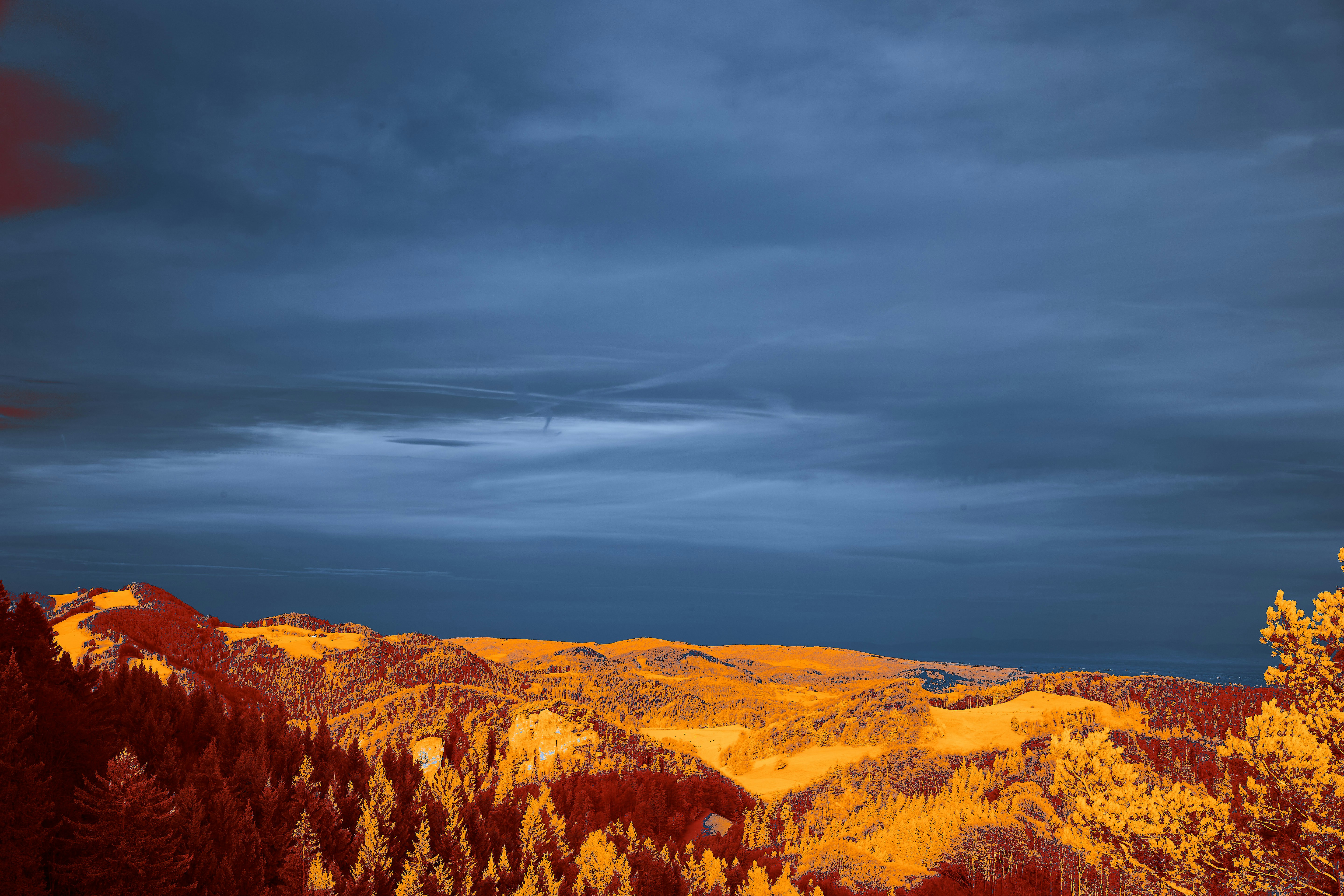 Photo by wolfgang_hasselmann
