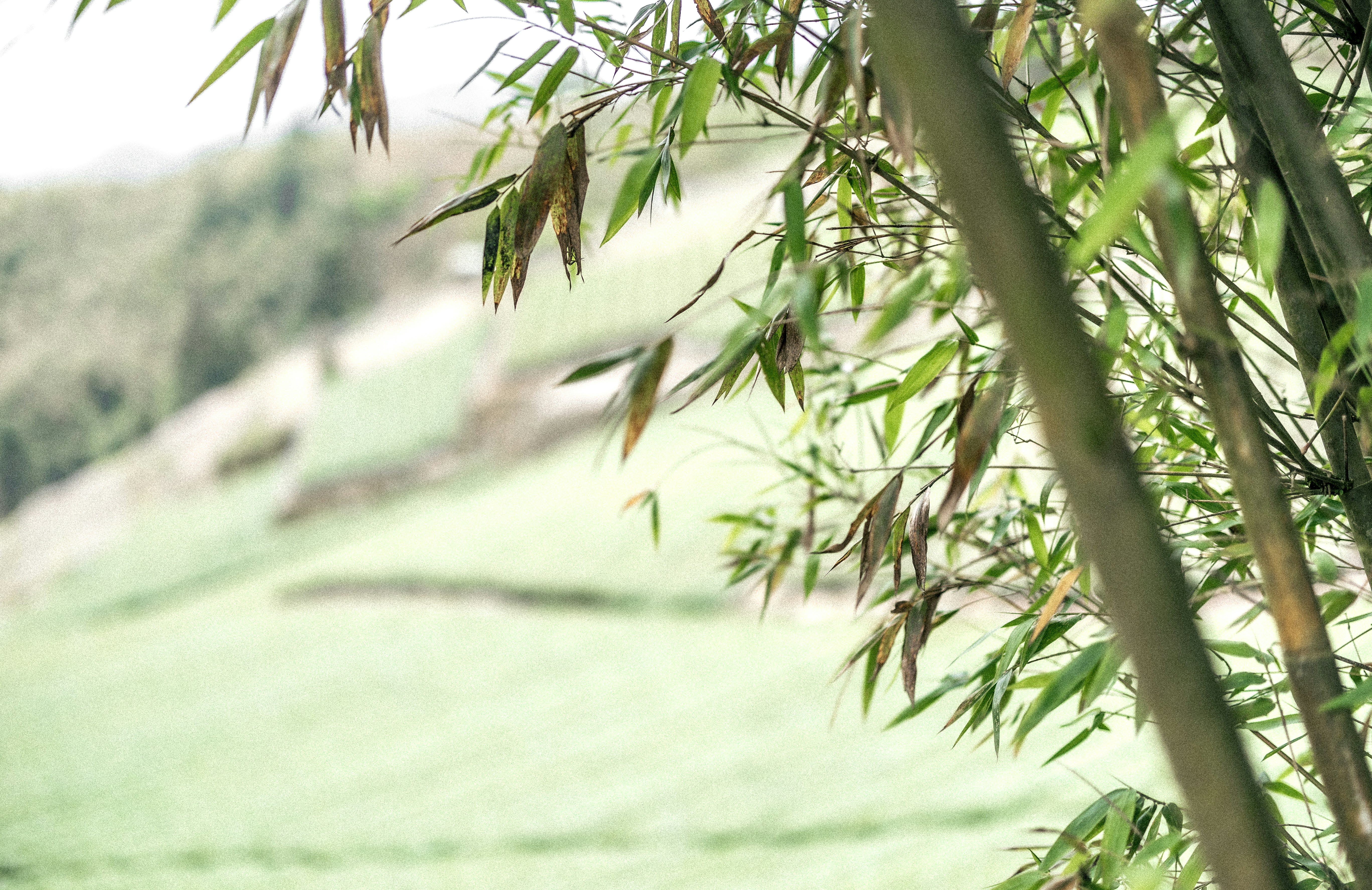 Photo by marekpiwnicki